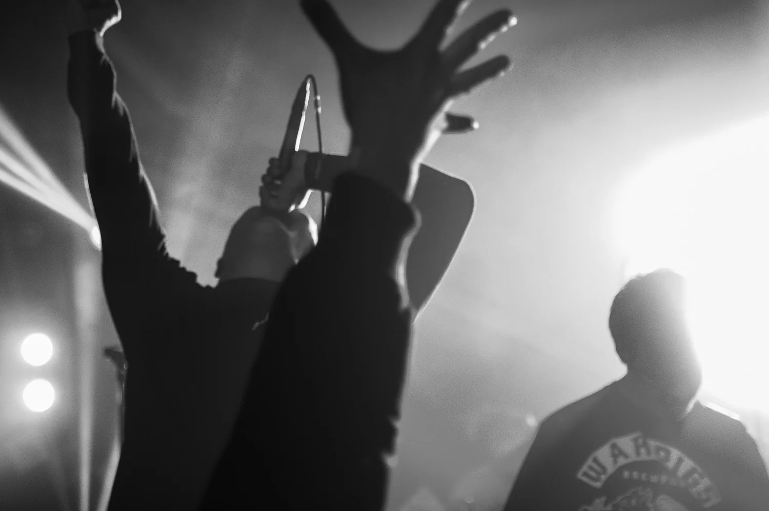 20190330_roheline-saal_mol_-128.jpg