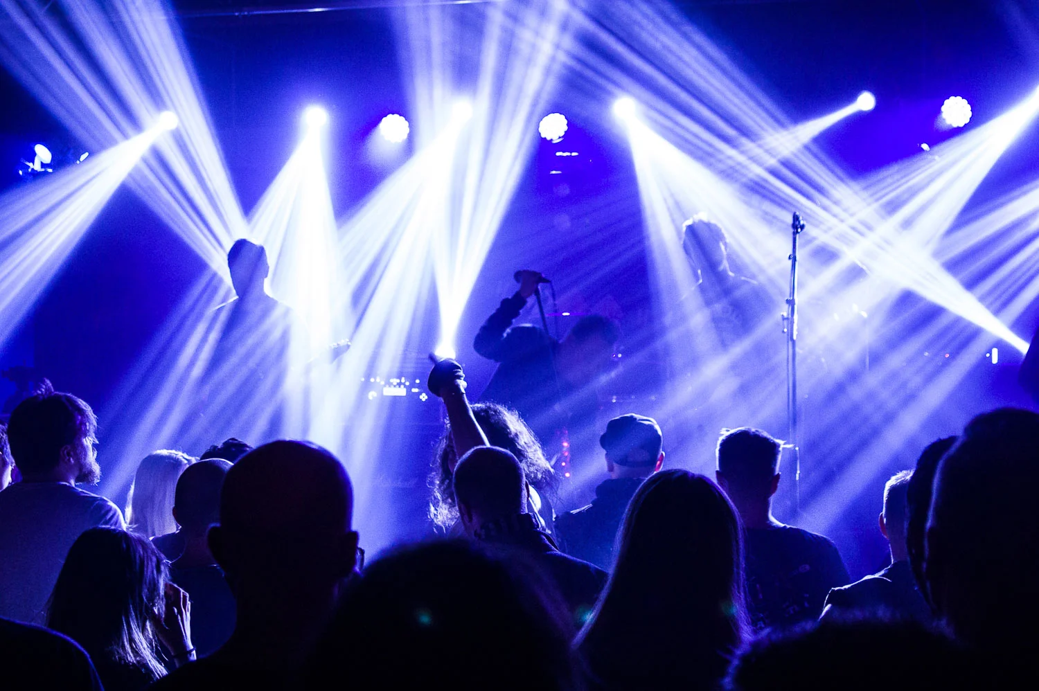 20190330_roheline-saal_mol_-137.jpg