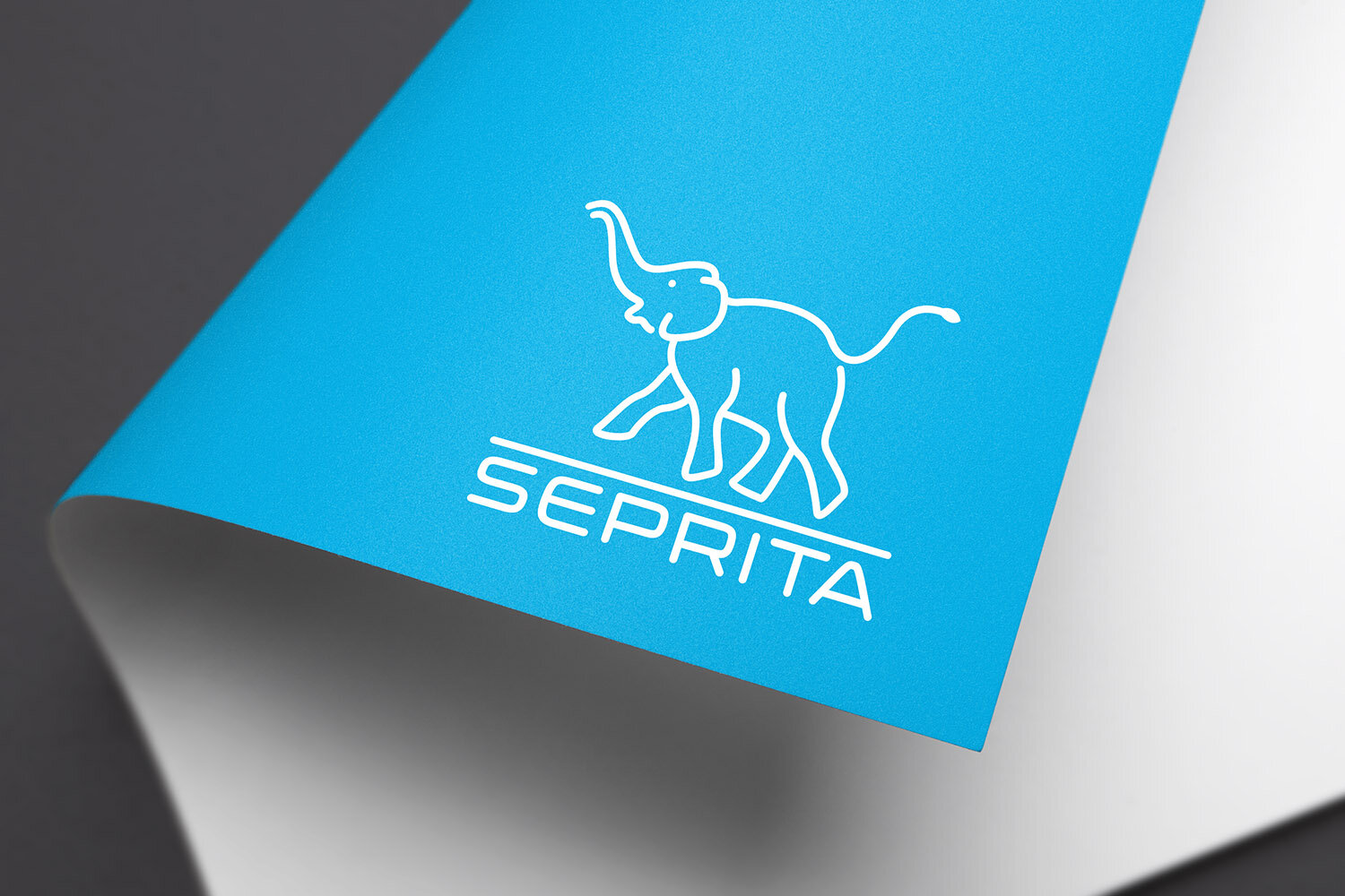 20190511_seprita-logo_v01d.jpg