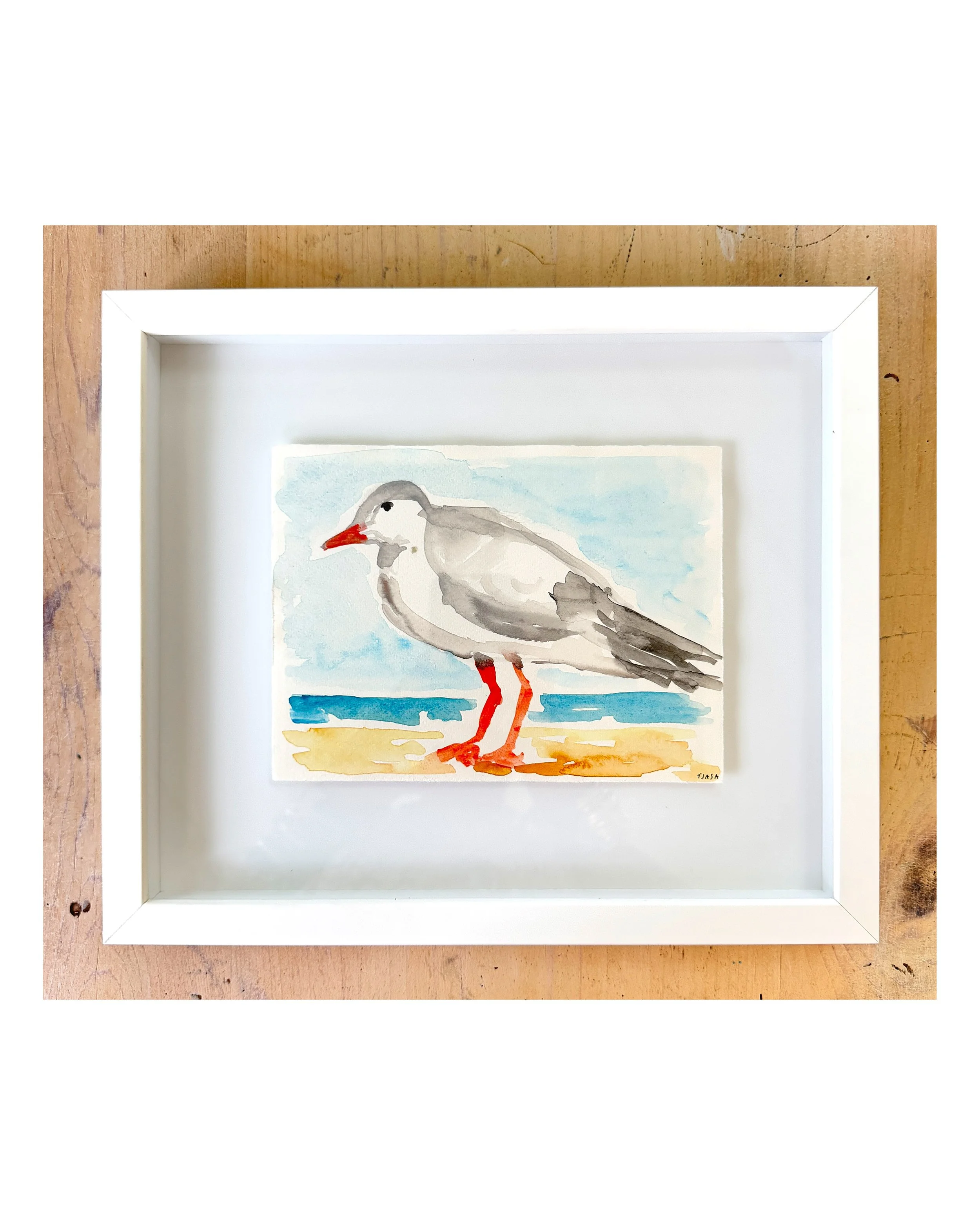 Perched  I  11 X 13  I  Cape Cod Studio