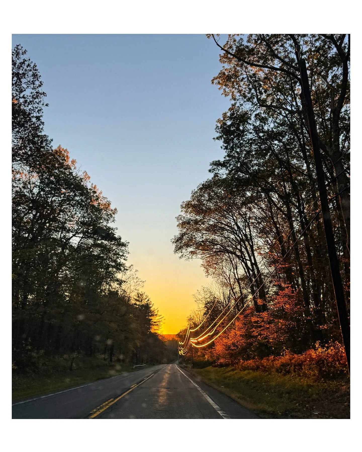 ✨
chasing light 
as we all do
during this golden season
feeling the in between
as we boot up 
and walk through the crunch of leaves
holding our sweaters tight
breathing in that beautiful scent 
of the earth and trees changing 
the inhale that grounds