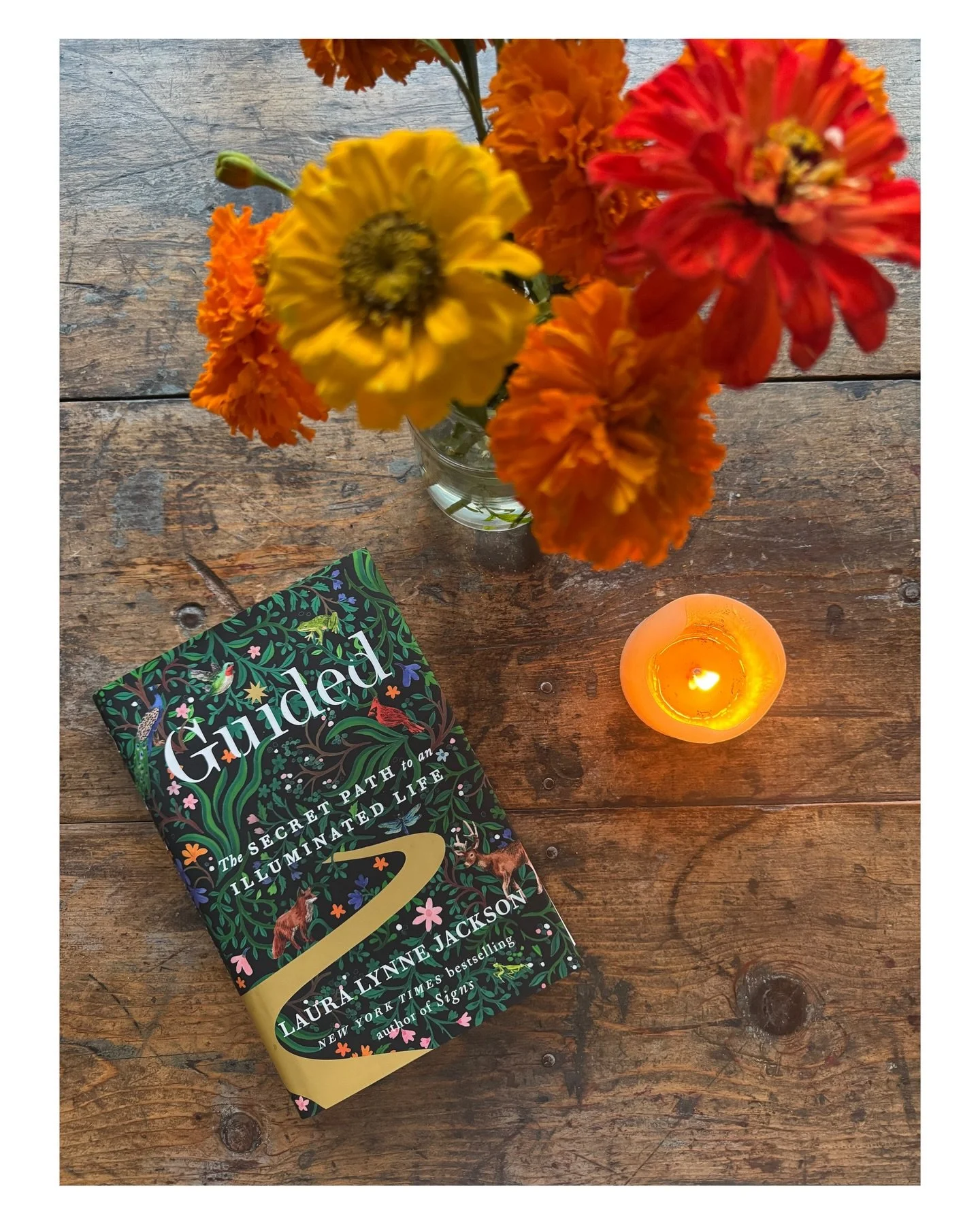 I&rsquo;m a big believer in signs. When I ask for them, they cross my path. ✨ 🦋 🦊 3 🤎🩶🤍 ✨ I love all books relating to &ldquo;the other&rdquo; besides ourselves, - and the beyond. I have read many books written by mediums including all of Laura 