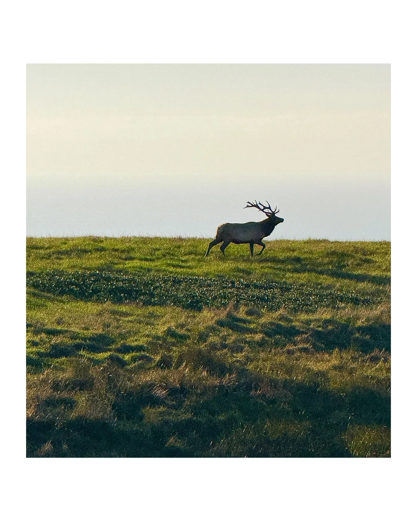 Speaking of signs, thank you thank you thank you for the beautiful gift. 🙏❣️