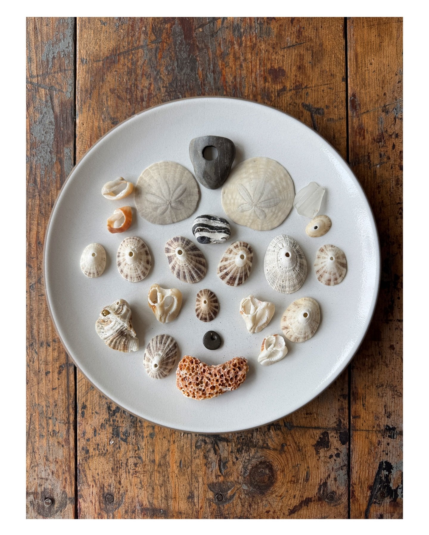 It&rsquo;s the little things that are the big things for me. 🐚 ❣️💫