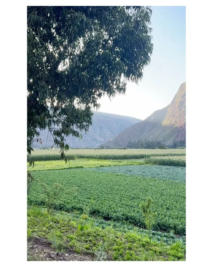 Notes from the Sacred Valley in Peru&hellip; after 21 hours of travel, we made it. 🇵🇪 ❣️This was my walk last night listening to the extraordinary birds and soaking in this extraordinary landscape&hellip;breathtaking.