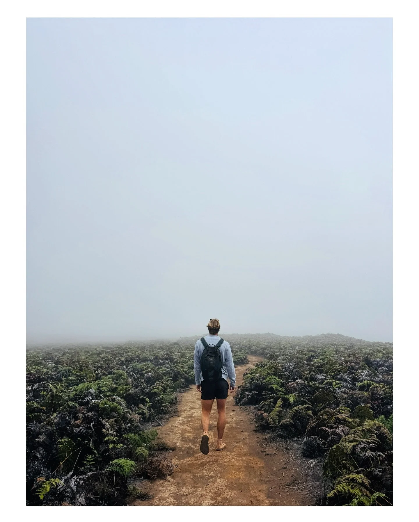 An unbelievable hike to the bottom of a volcano which felt like another planet altogether. Once at the bottom, you could tap rocks against the ground which sounded hollow. Even though the volcanoes are monitored, it still felt very uneasy. Needless t