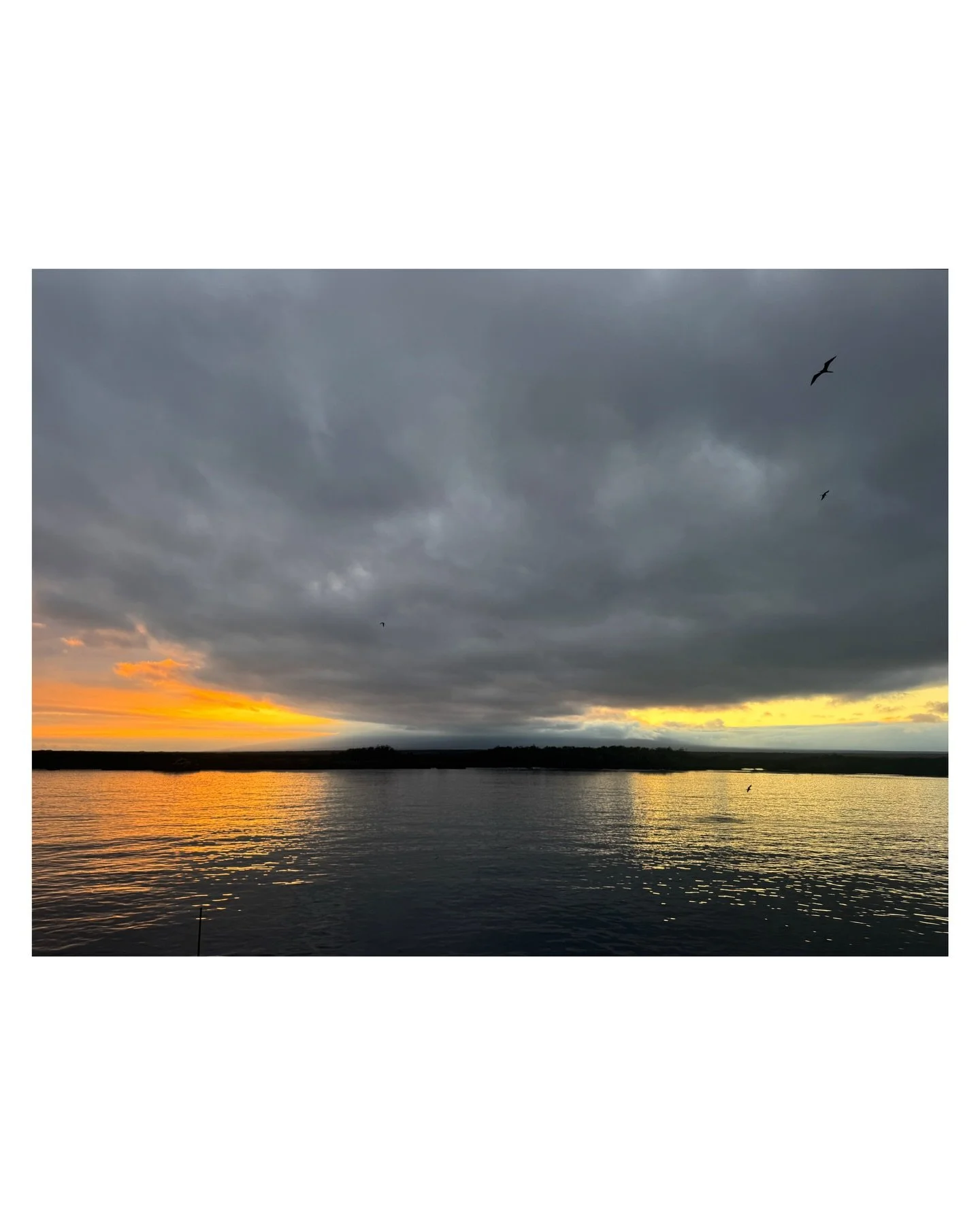 Good morning&hellip;.this is why I wake early. In the 5&rsquo;s there is always a gift. ❣️