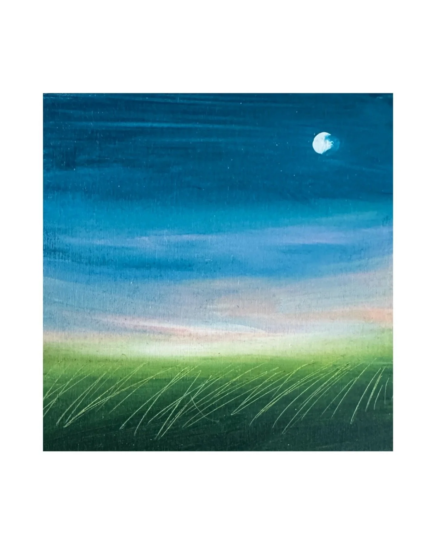 I love when the nights and early mornings are so bright with stars and the moon and the landscape feels so awake around me &hellip; standing outside while the dogs roam to just look up and feel the vastness of the world. It helps the heart a lot. ❣️