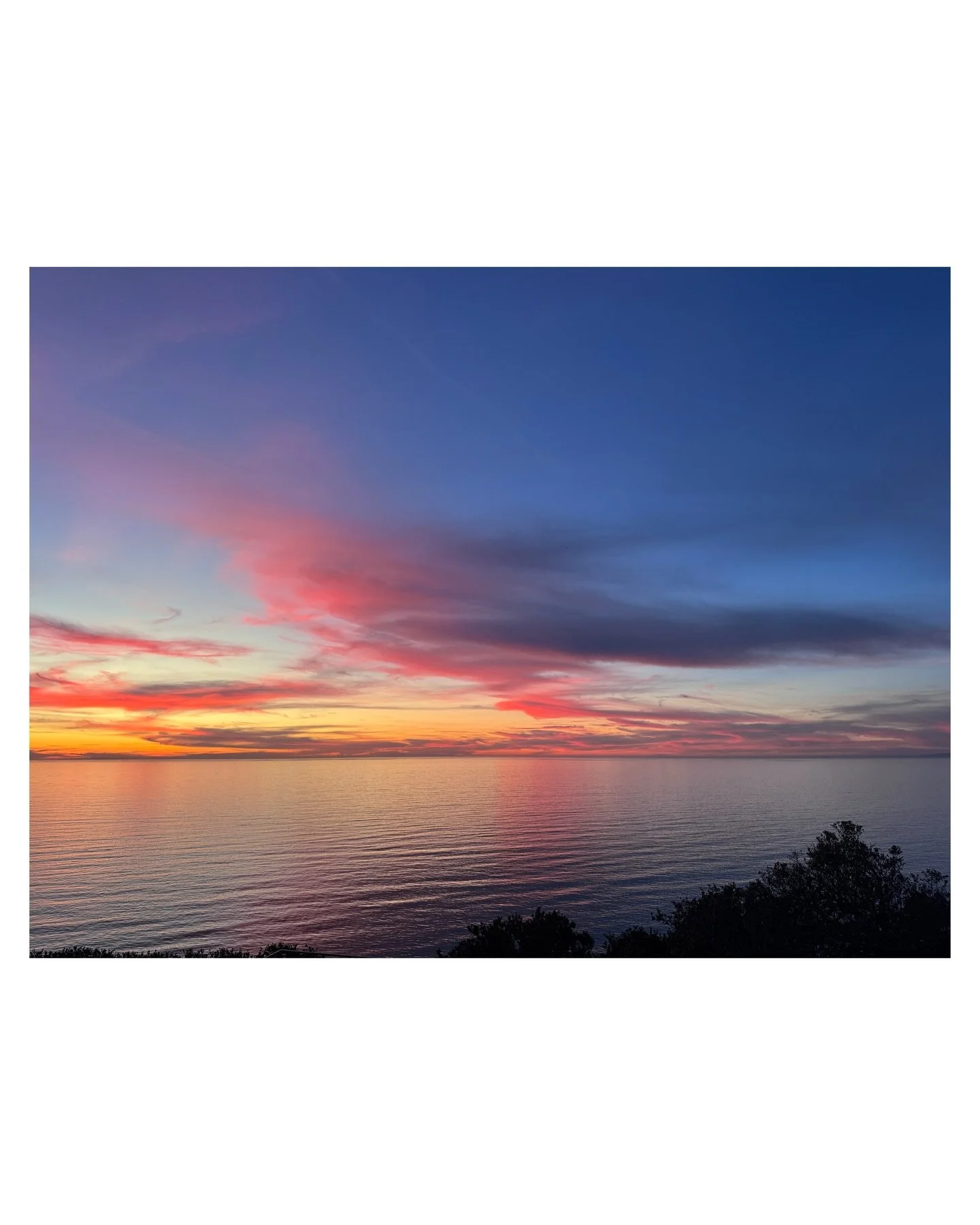 After 8+ hours of driving, we made it! You are beautiful San Diego and so excited to see Finn is his HAPPY place. 🌊 🌿🌼☀️ 🌸💞🦋💕