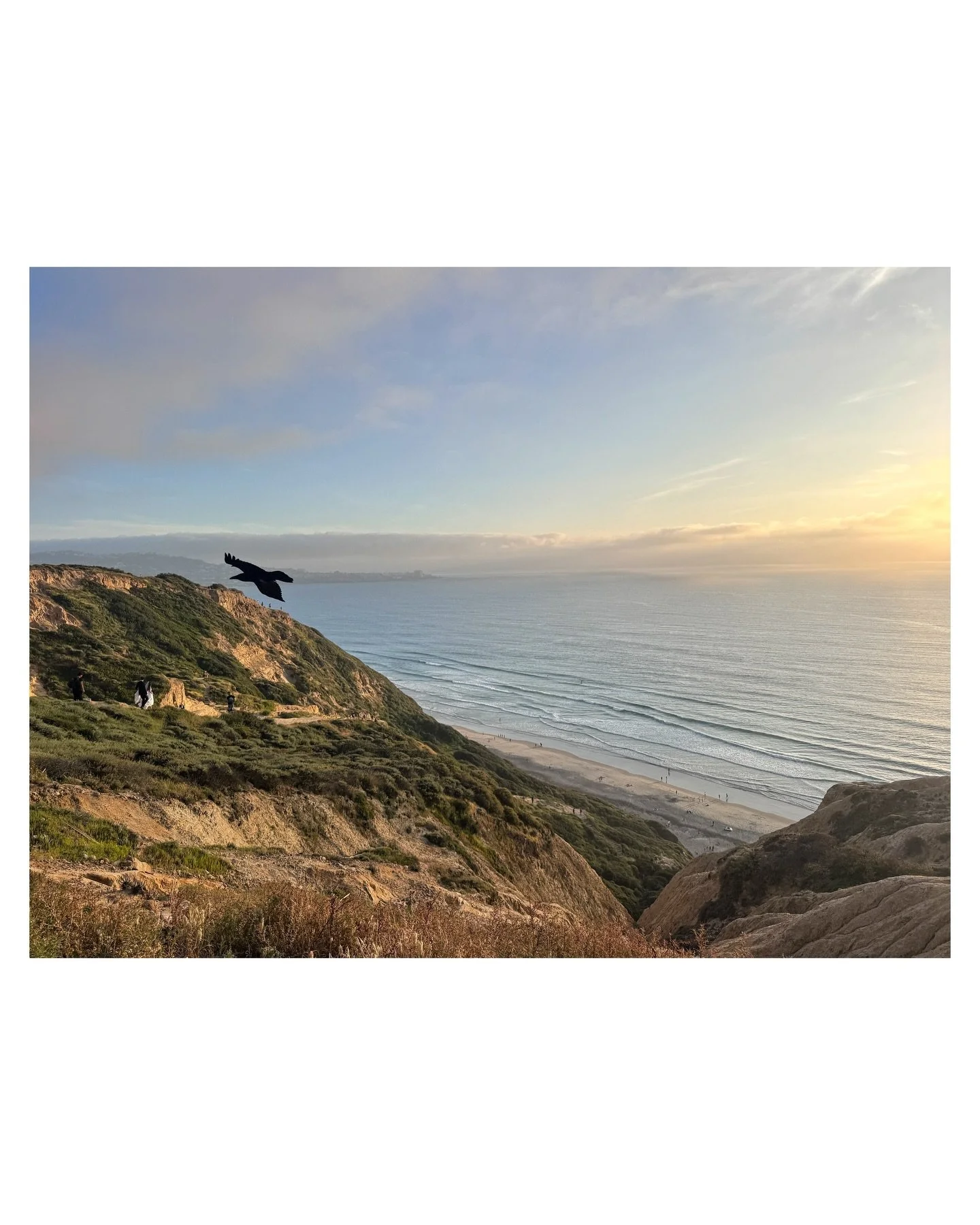 So much to LOVE here in San Diego!!!!! It&rsquo;s EPIC!!! ☀️💛☀️