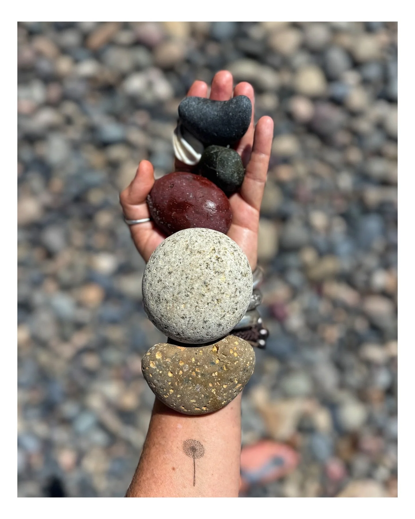 I am so in LOVE with the beach stones here&hellip; the car is filled to the brim with them now!!! 🤎🤍🩶