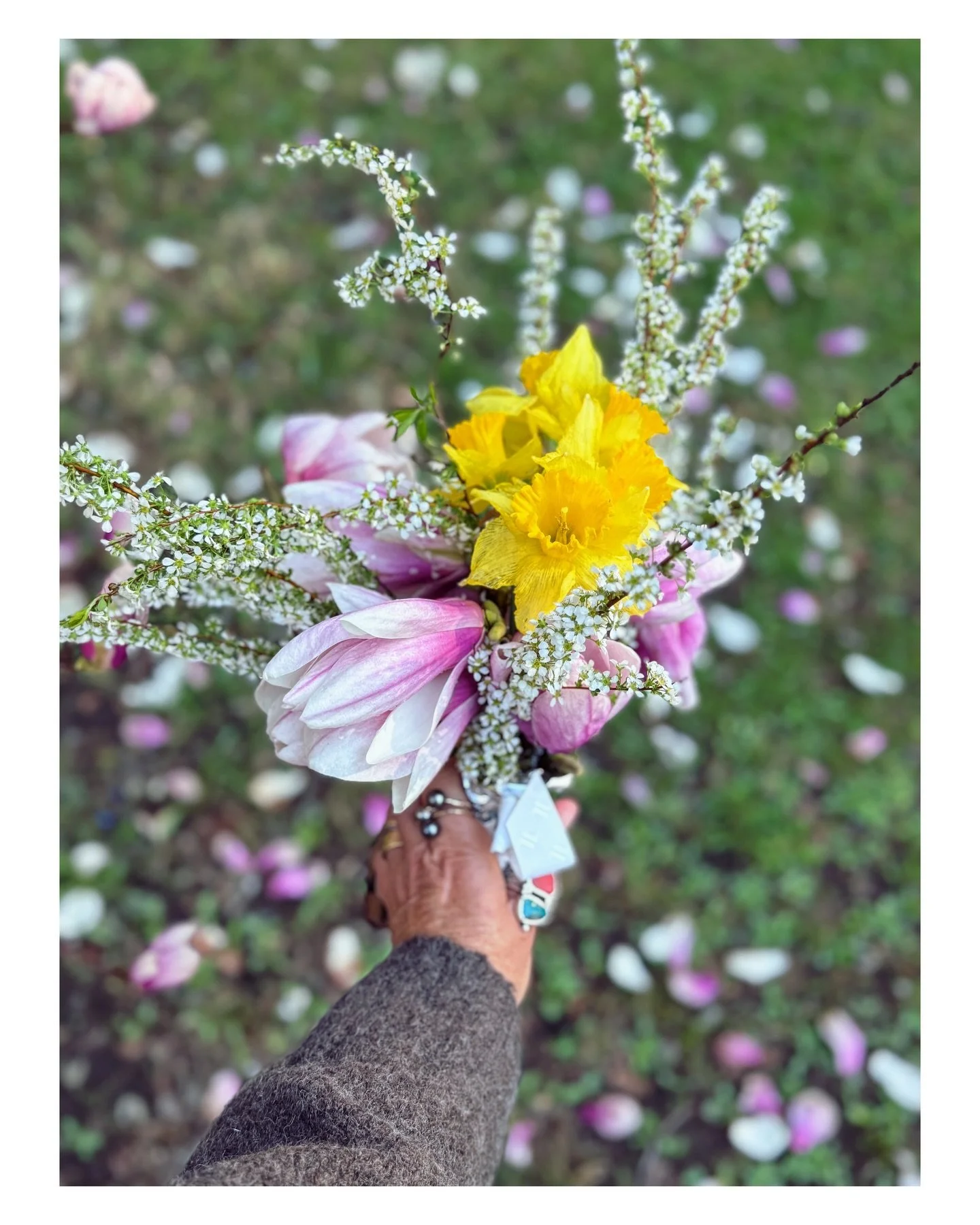 Foraging outside our front door with all the beauty that April showers bring forth. 🌿🌸☀️💛🌼