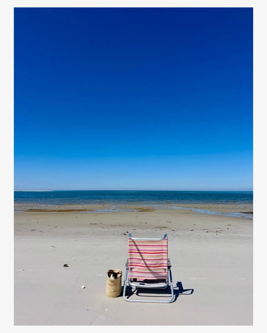 A two hour window I gave myself yesterday&hellip; still snuggled in a sweater, but it was everything. ❣️