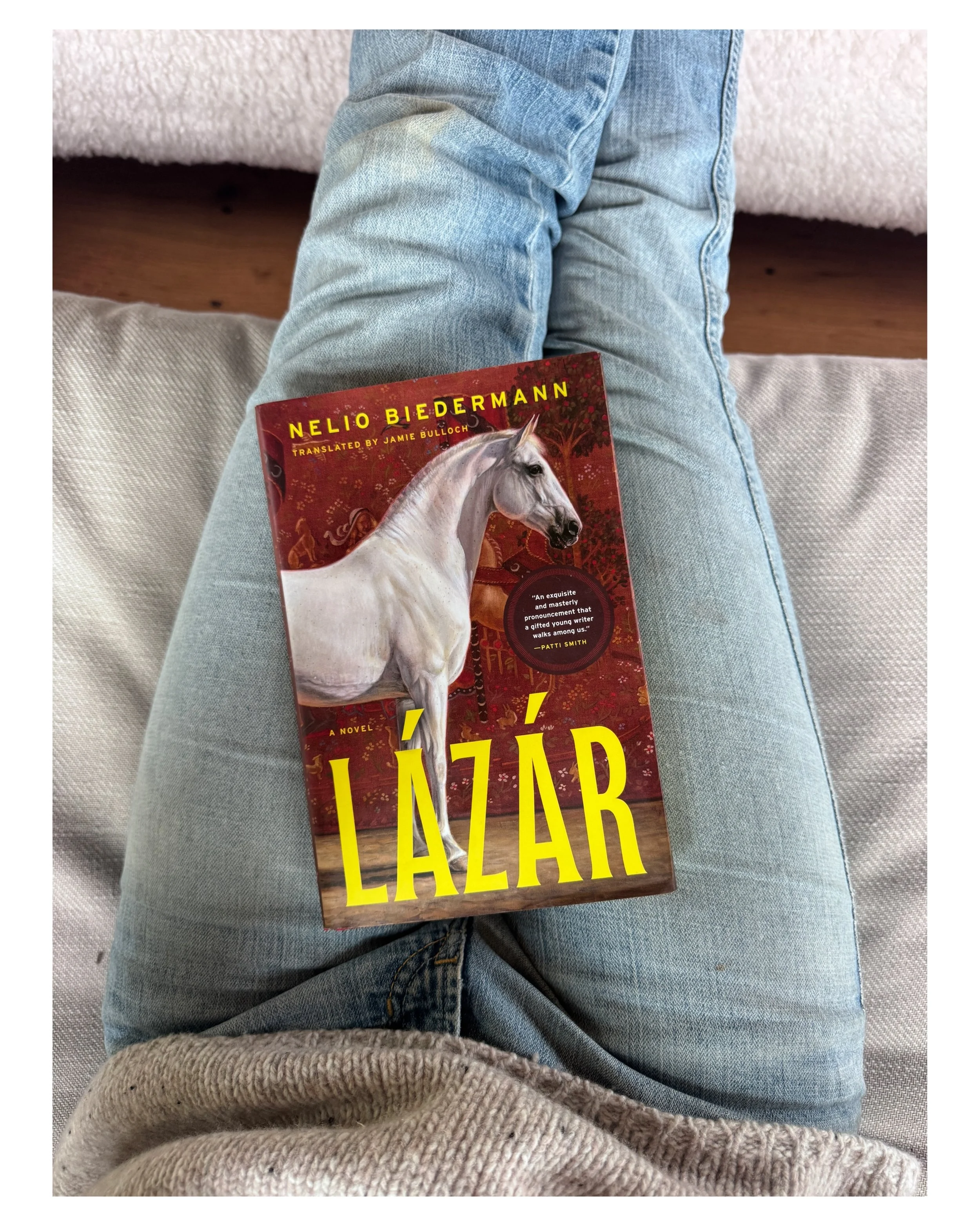 I am sharing Laz&aacute;r not necessarily because I loved it but because I&rsquo;m still reeling that a 21 year old wrote it. The writing is unbelievable, truly. If the synopsis below interests you then definitely read it. For me, it was a page turne