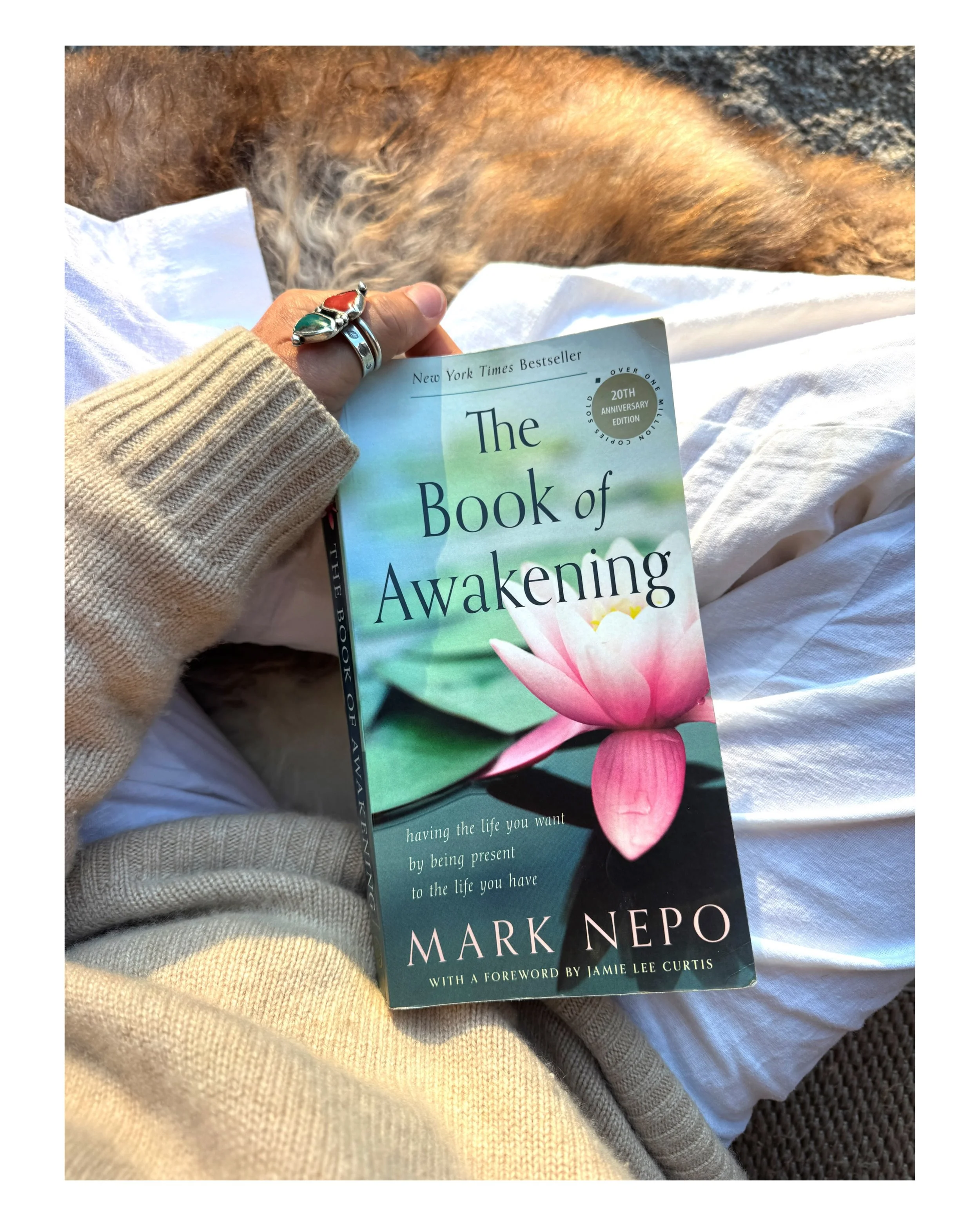 Mark Nepo&rsquo;s the Book of Awakening is my morning spiritual reading ritual before I do anything really. Every day is a short entry with relatable + thoughtful meditations for each day of the year, - his words are BEAUTIFUL way of approaching life