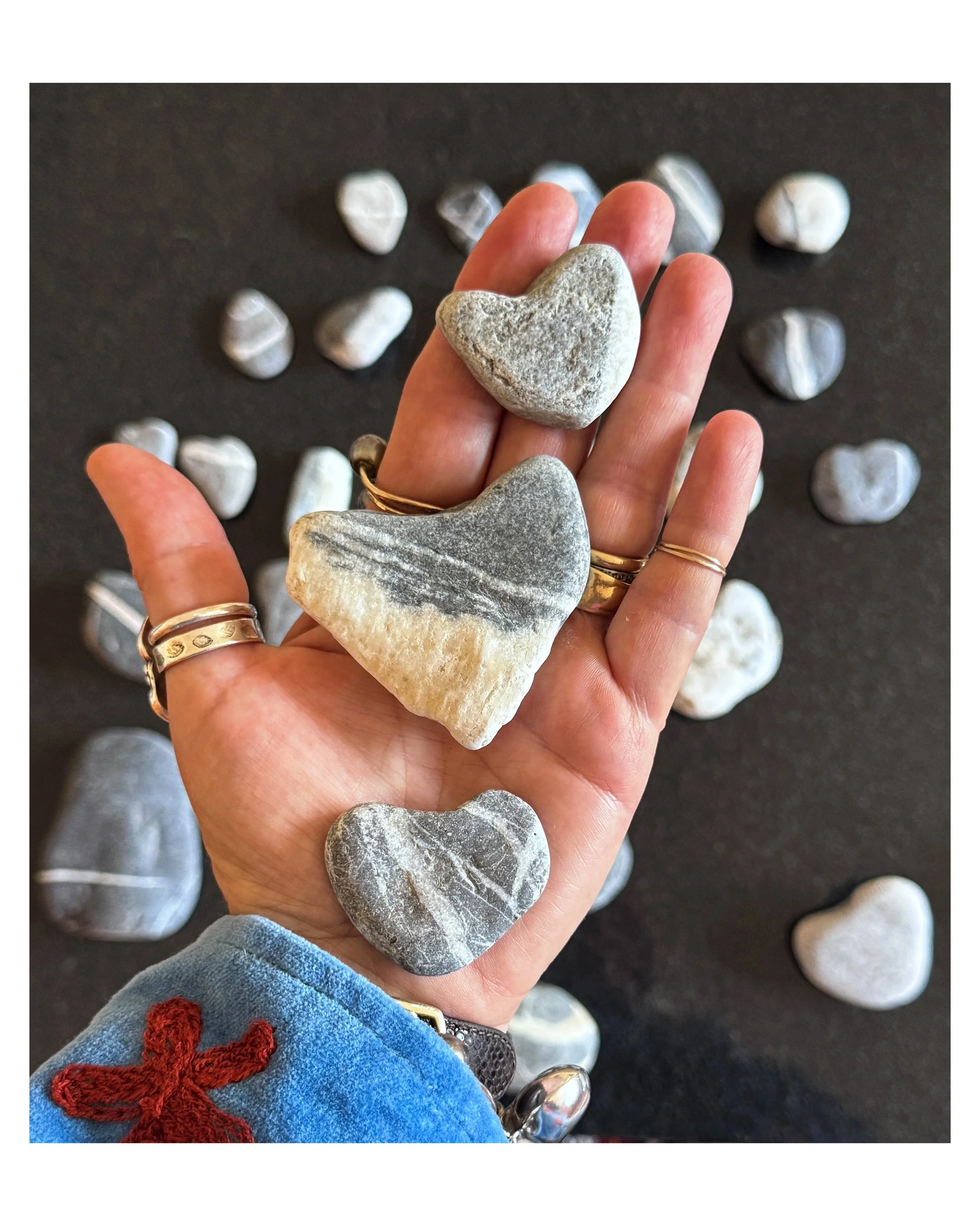 And that is a wrap &hellip; many many hours of travel from the mountains across the pond back to the sea - to beautiful New England and unloading the rocks that came along - we managed without overweight not sure how though! ❤️🇨🇭