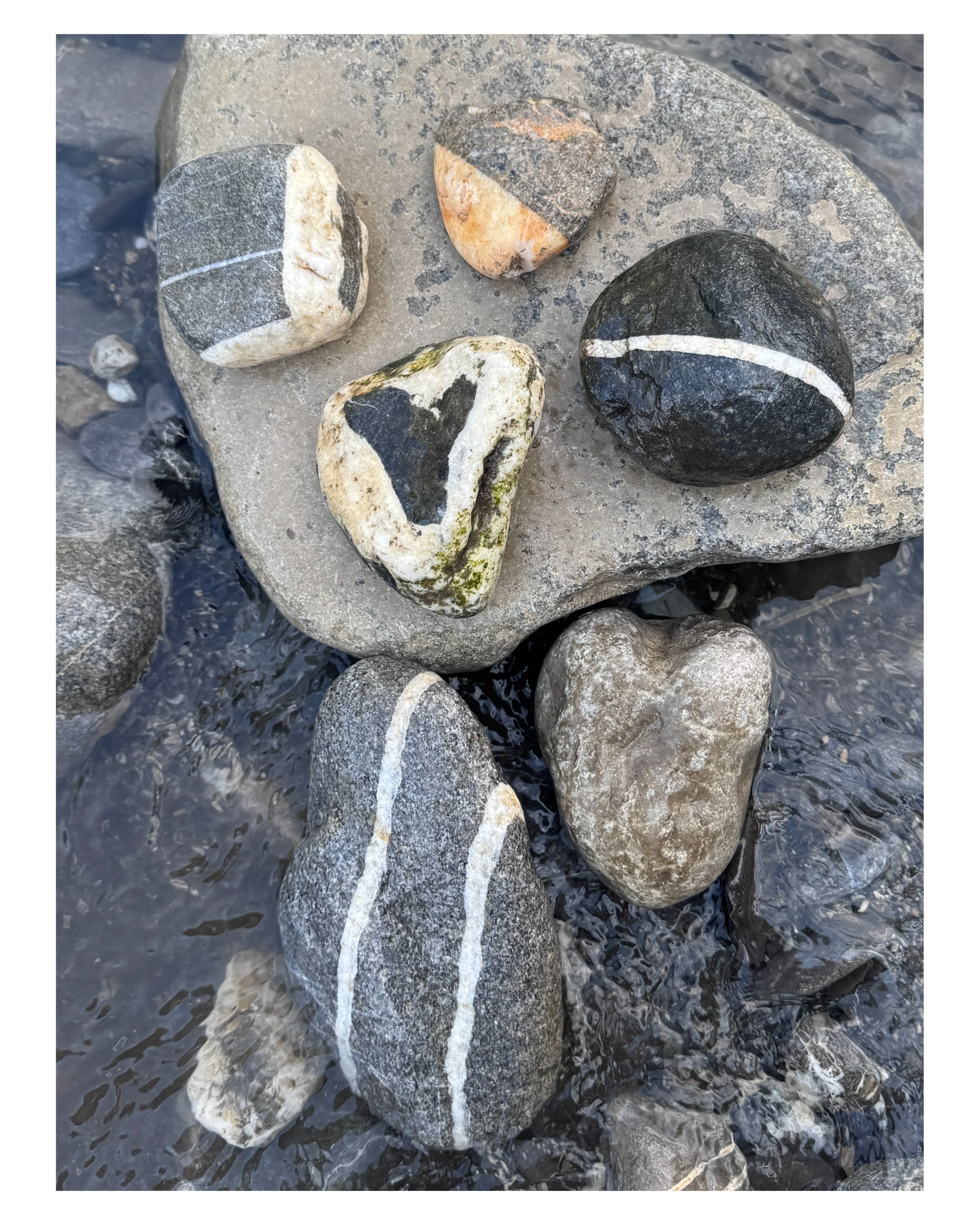 These rock photos are going to continue for quite a few more days, so be patient with me. I really really REALLY love rocks. 🪨 ❤️