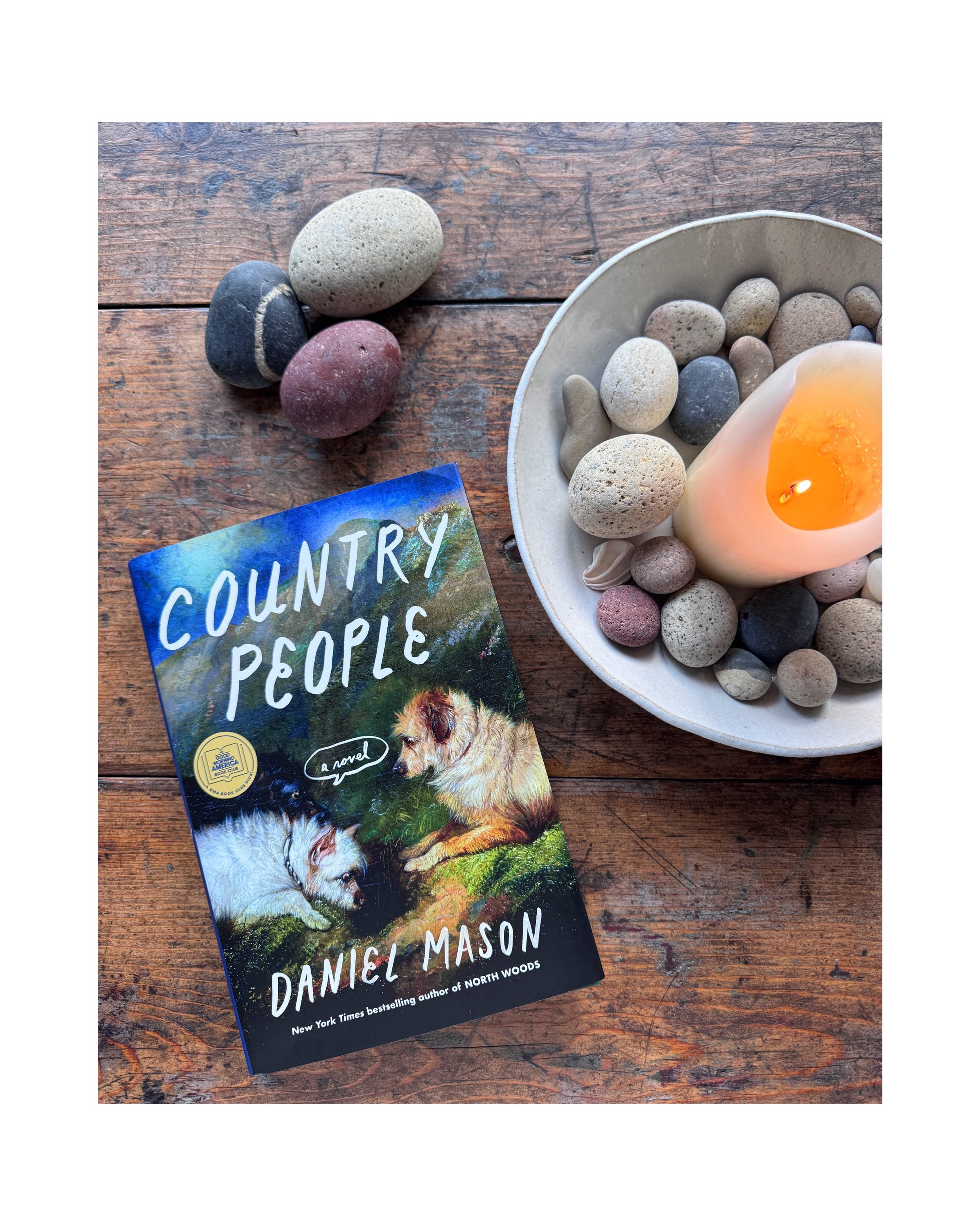 Daniel Mason is a heartwarming, hysterically funny, deep, and just all around fabulous writer. A novel about a family from California moving to the backwoods of Vermont and the stories that unwind from there would be almost impossible to describe - t
