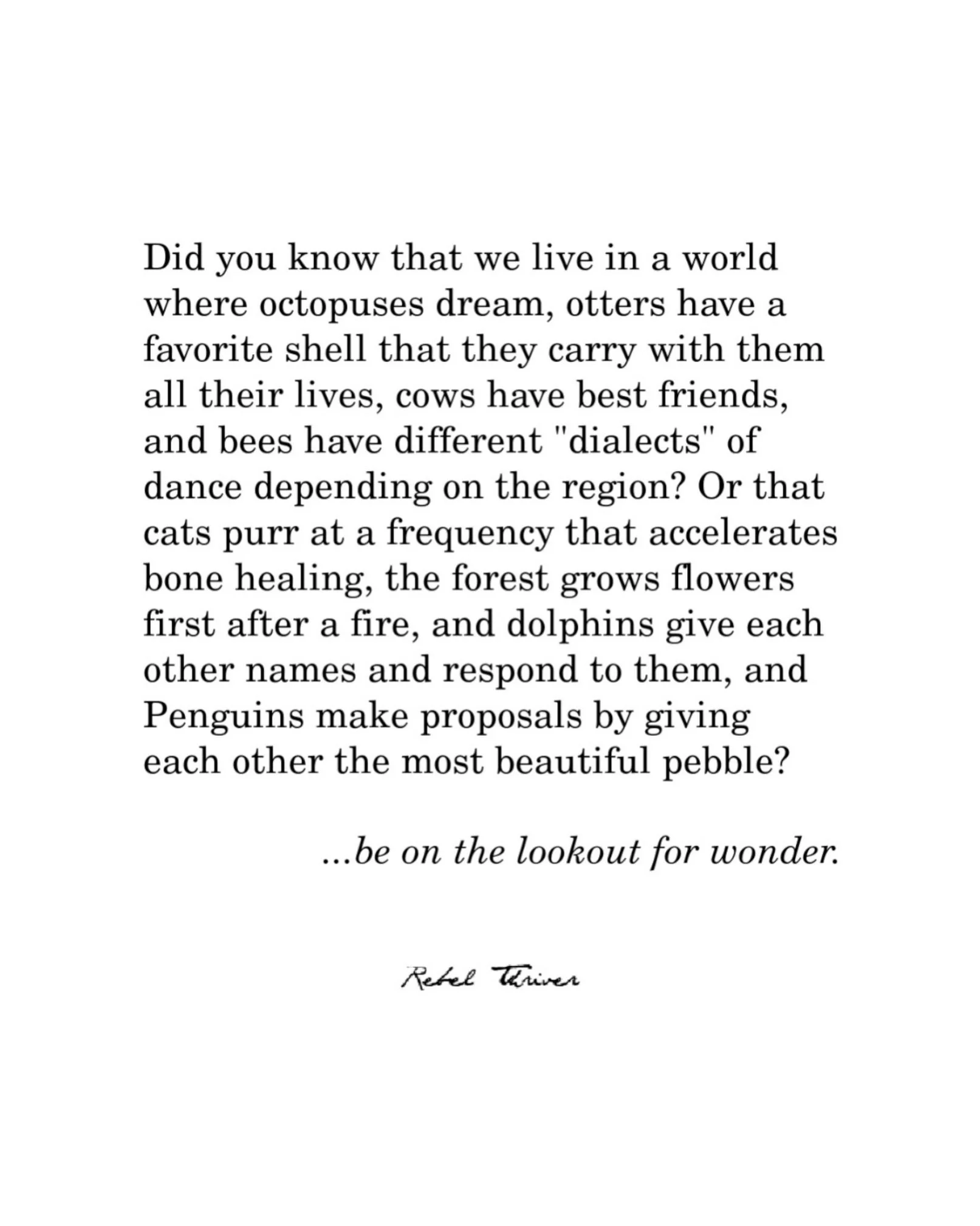 I just LOVE this so. 🙏☀️💛🫶🏼🥰🌼🌿🌊🦢🍁🐚🦋✨