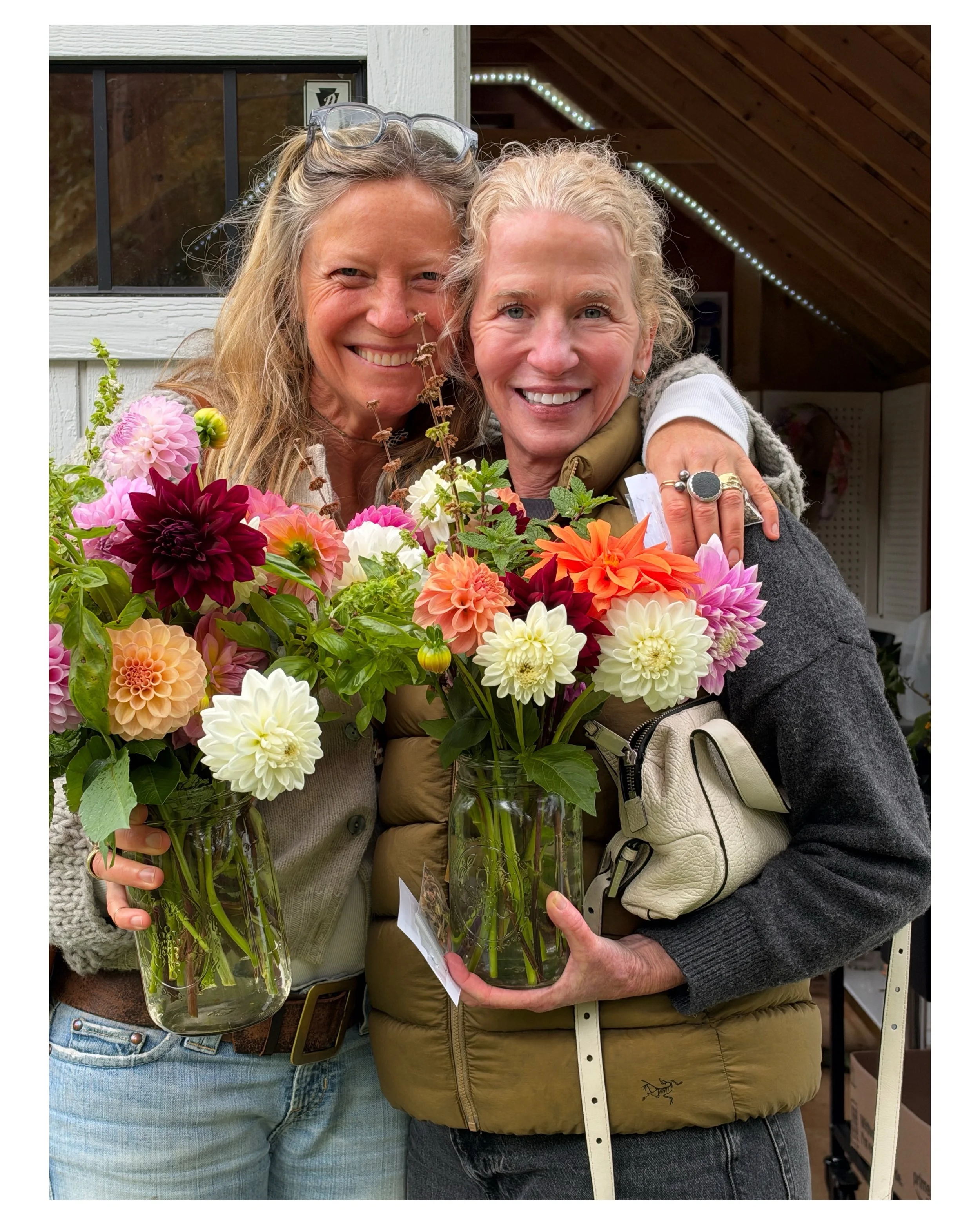 A big thank you to Kristy at @k_sfarm in West Barnstable for giving us the time to explore her beautiful dahlia gardens with our clippers and create stunning bouquets! From July through October you can reserve a time to visit them through their websi