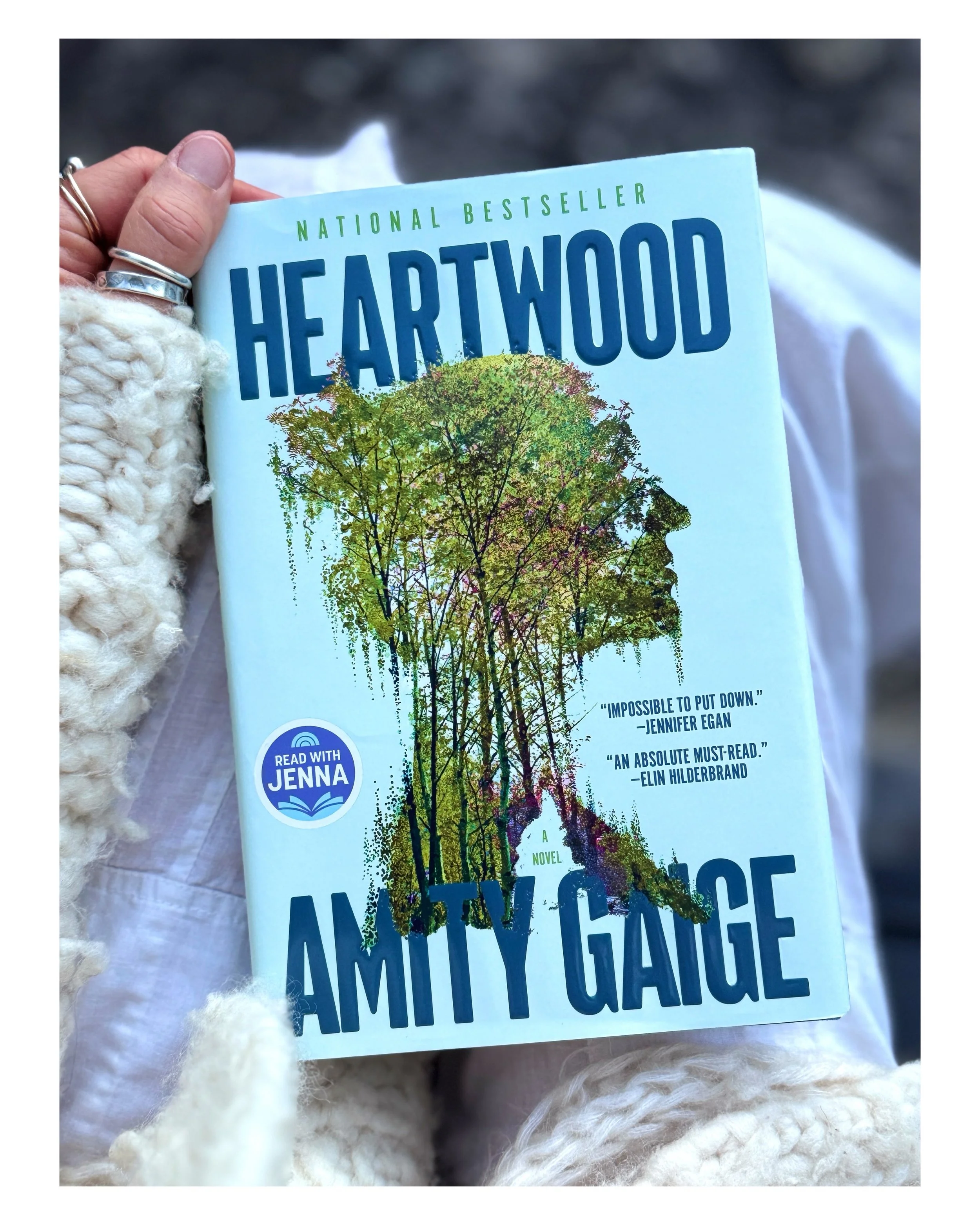 Having read Sea Wife by Amity Gaige, I knew by the rave reviews and how much I am drawn to the author&rsquo;s writing, that I was going to be hooked. I&rsquo;m not a thriller type at all, - in fact, anything scary and close to reality is just not my 