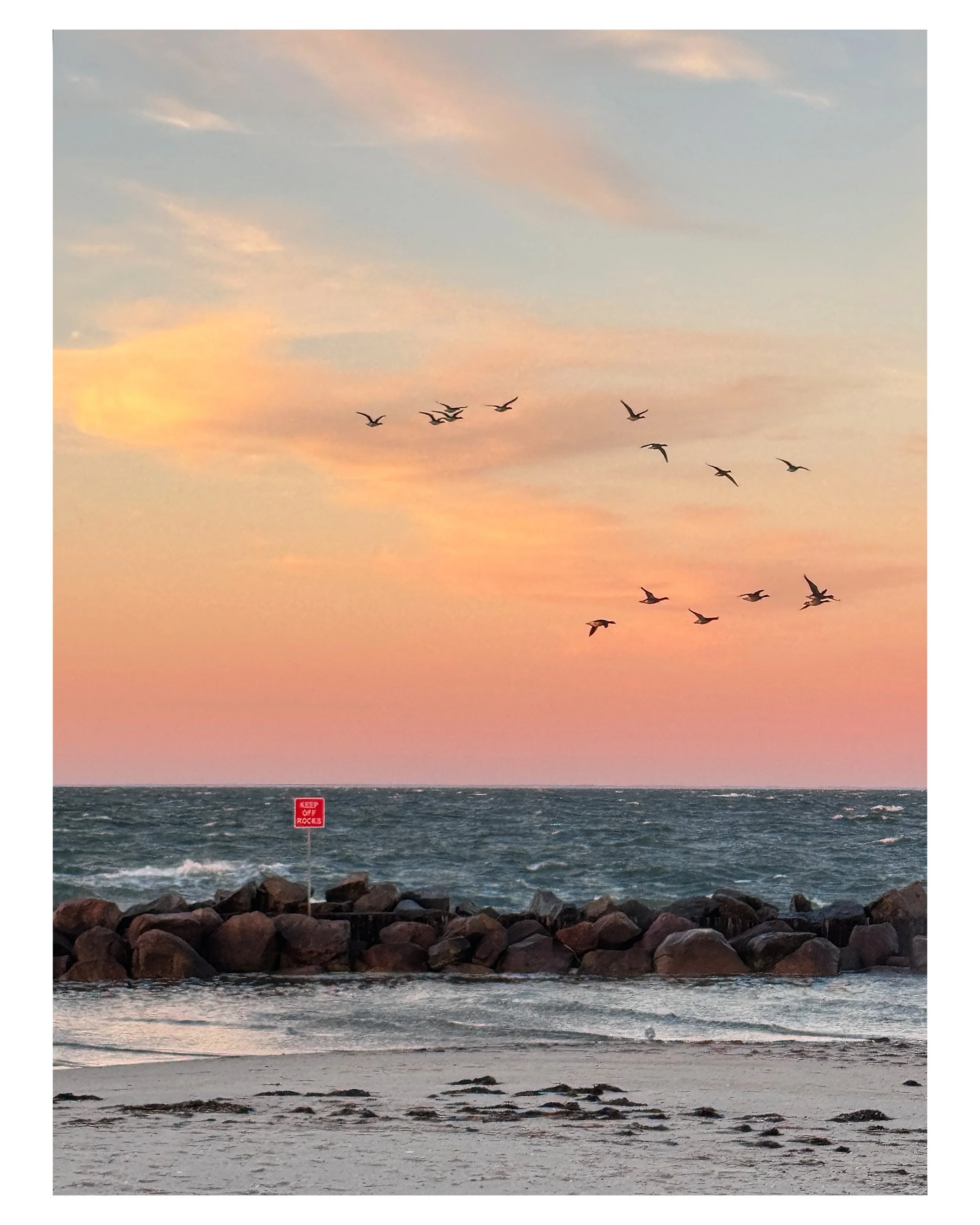 I love driving down the sandy roads to beaches in the Fall season &hellip;the air is brisk and cold, and some of us brave the windy walk, while others enjoy the view from their warm cars&hellip;each equally wonderful. We are all celebrating TOGETHER,