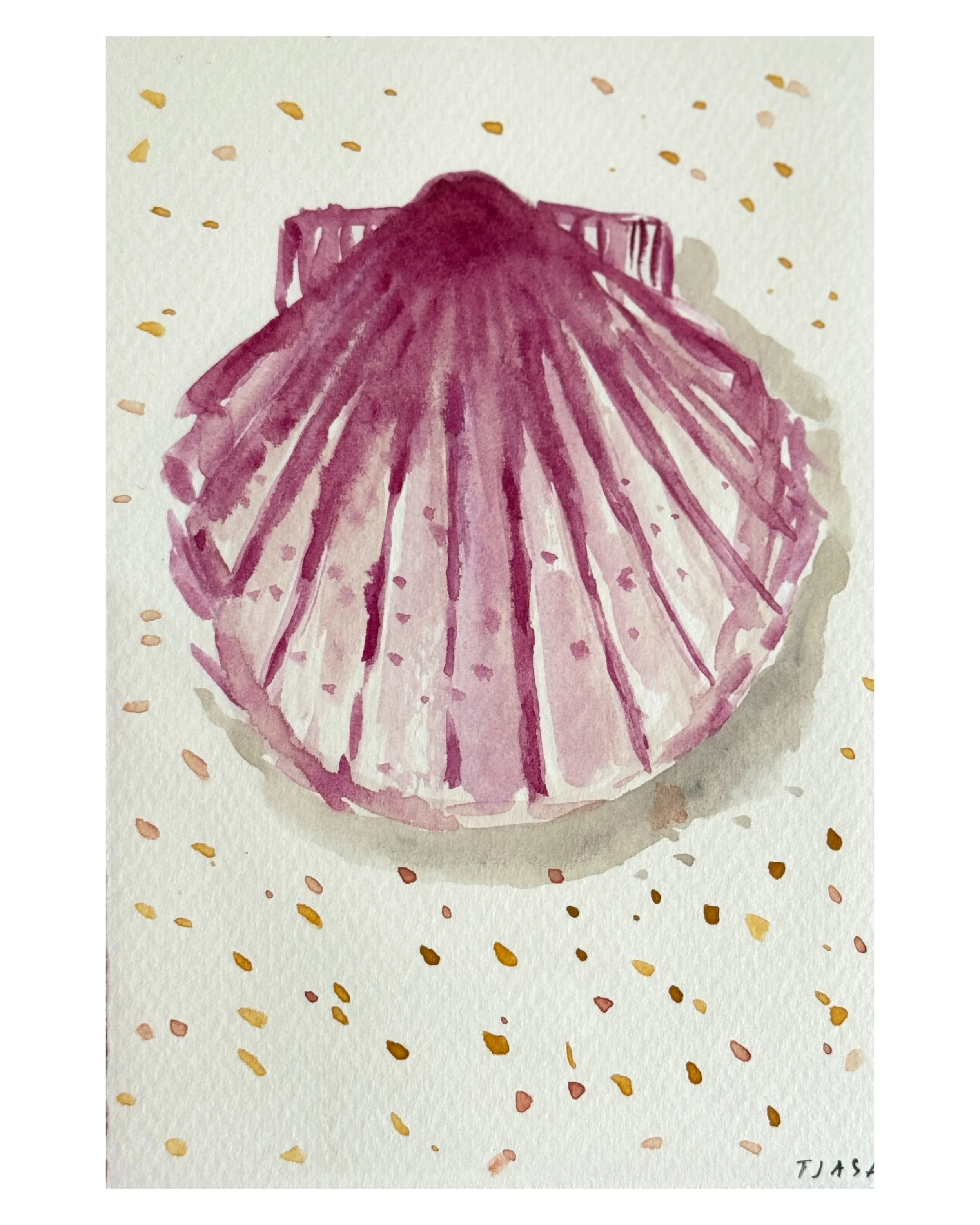 Scallop  I   6 X 4  I  unframed