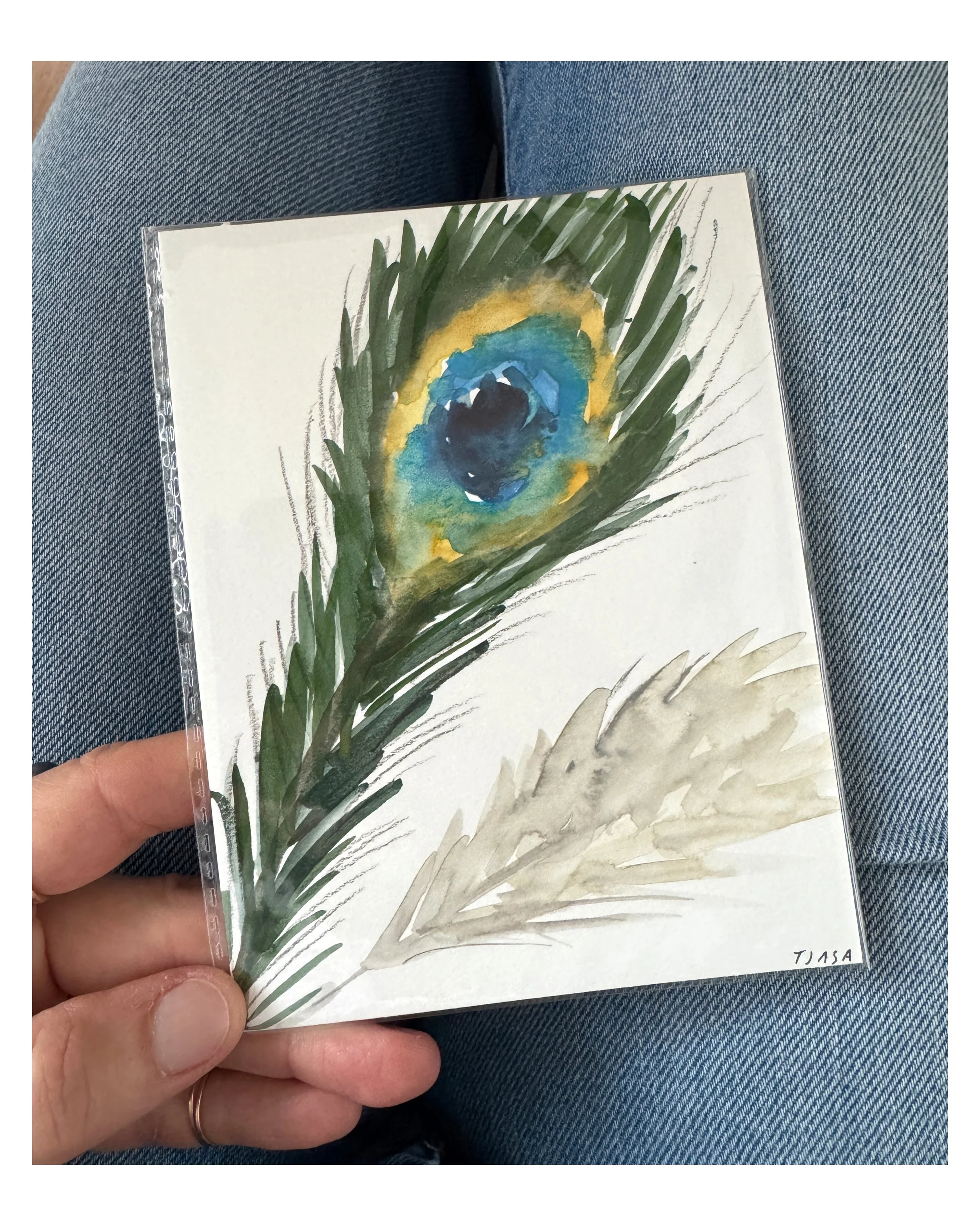 Peacock Feather no.2  I  6.5 X 4.5 (unframed)