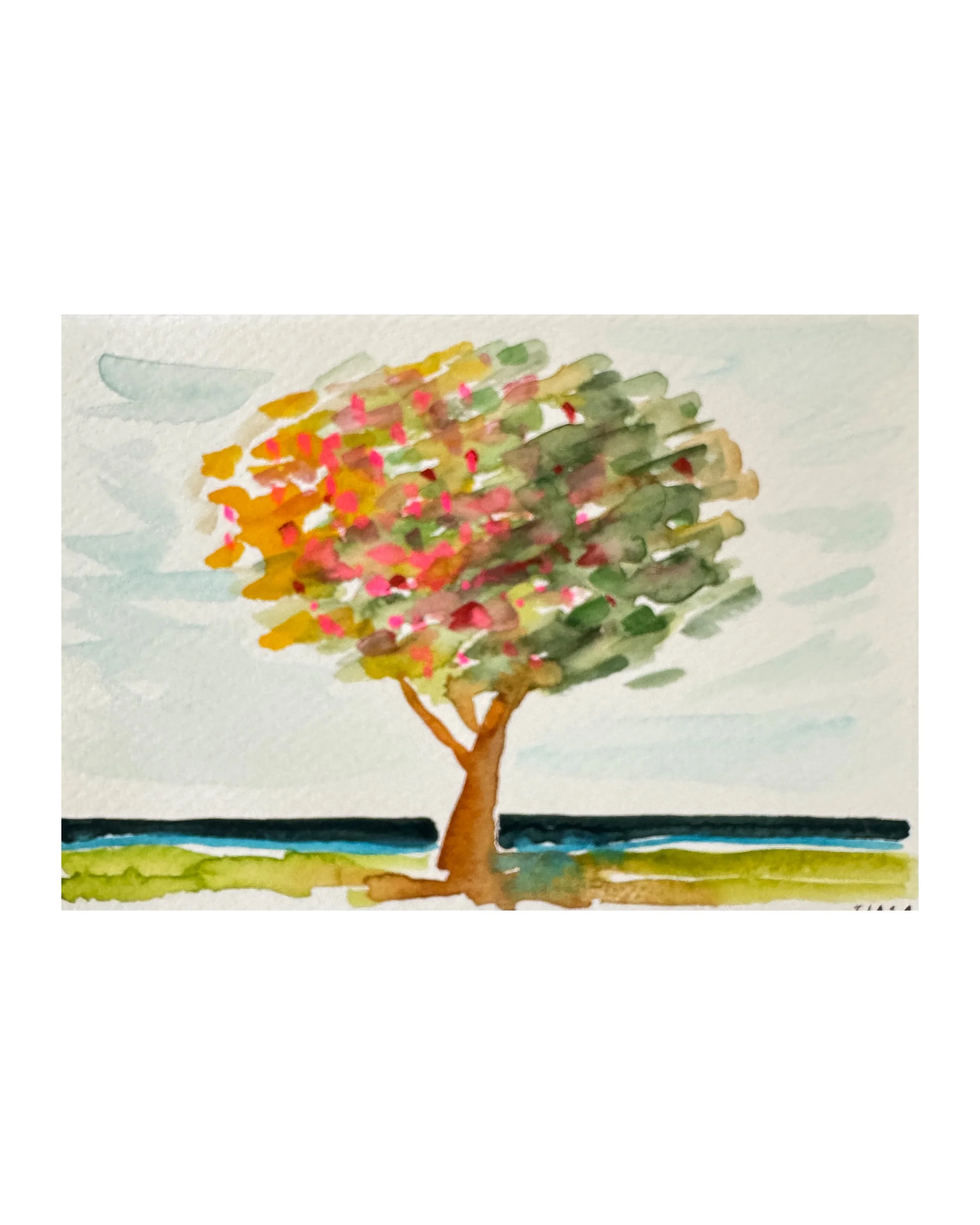 In Bloom I 4.5 X 6.5 I unframed