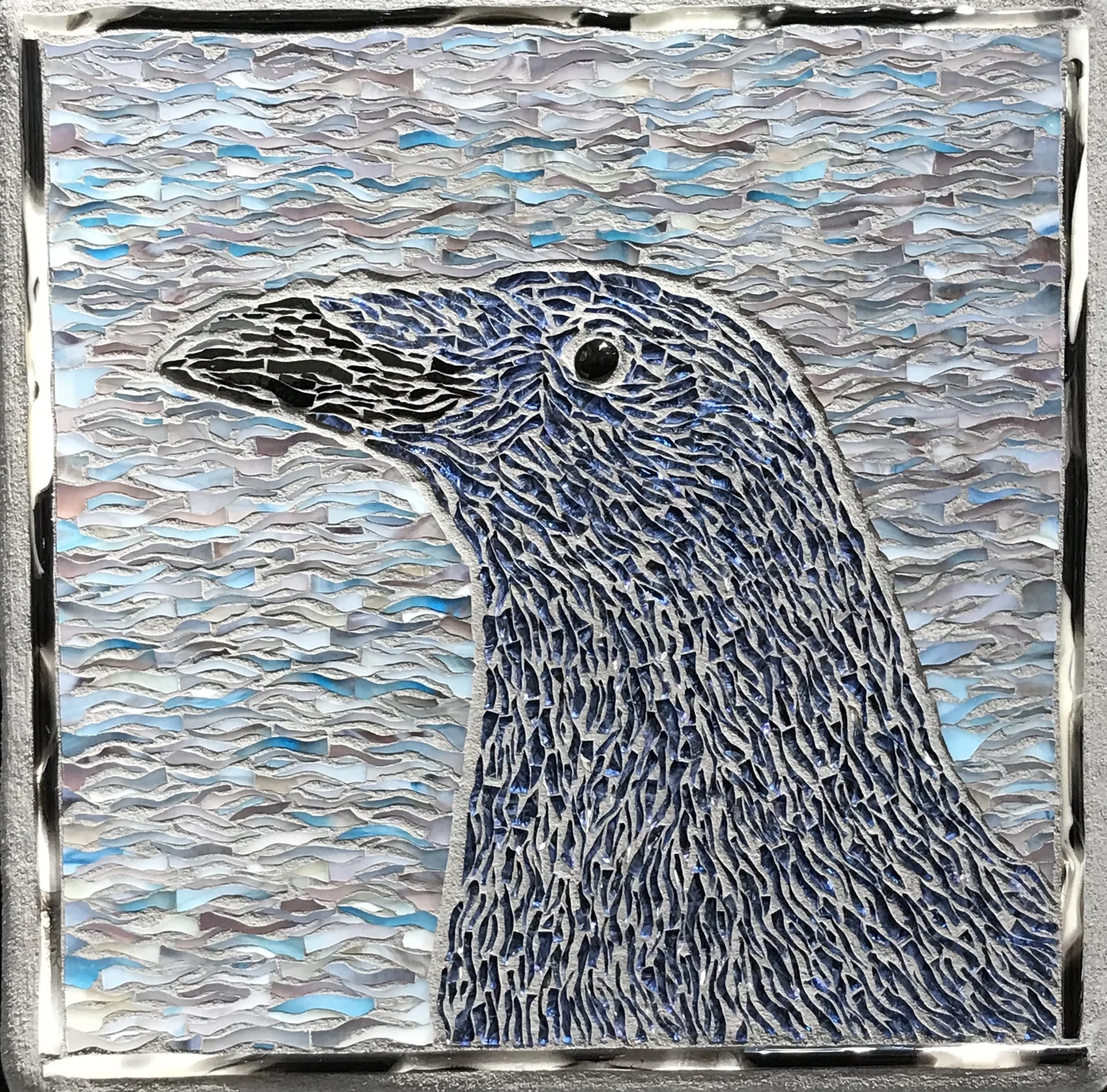 American Crow