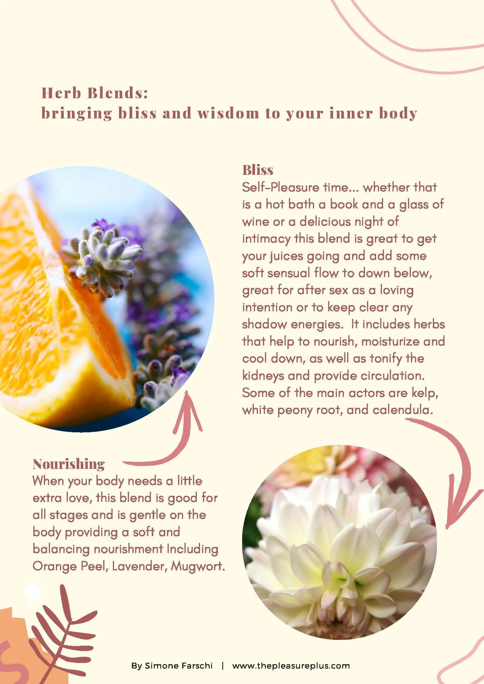 YONI Steam  (2)_Page_04.jpg