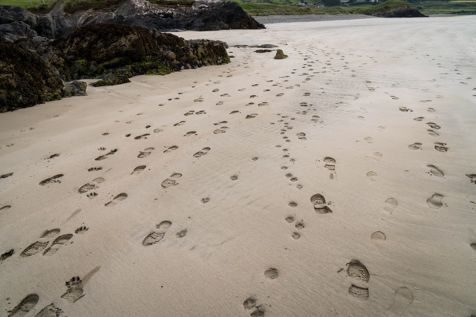 "The joy of walking in the footsteps of faith"