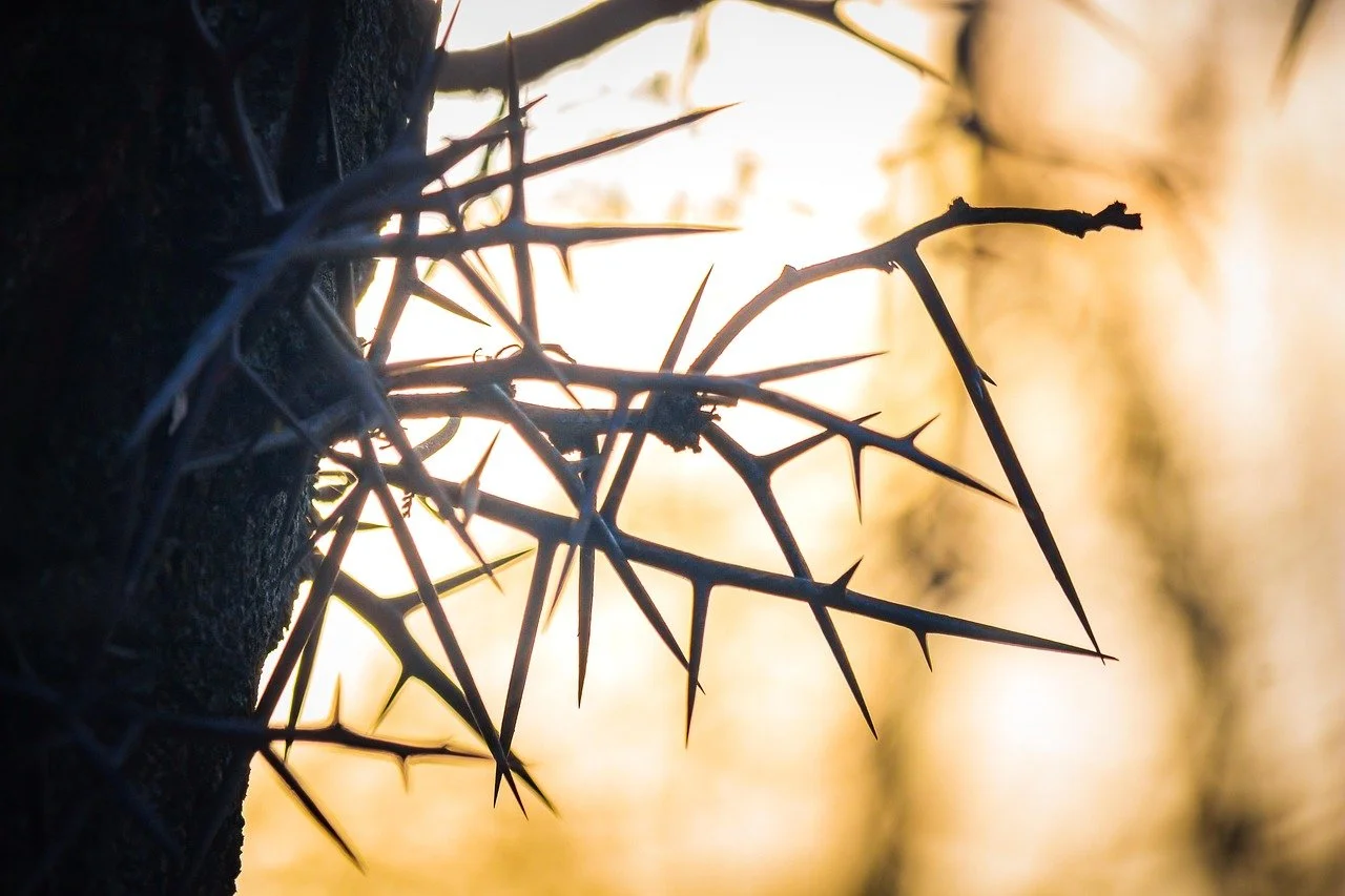 How is God's grace sufficient for us? episode artwork