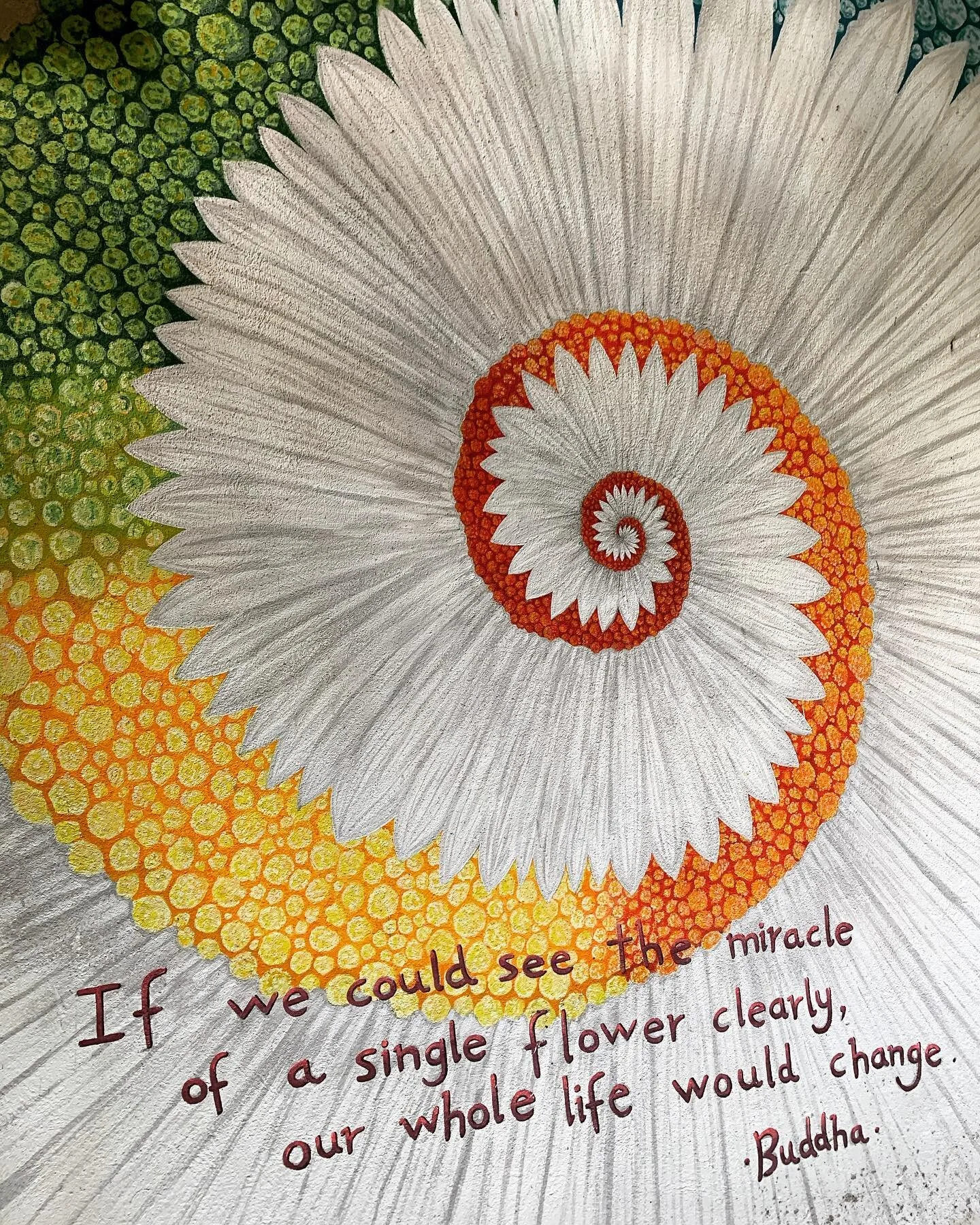 Wildflowers Yoga Wildflowers Yoga