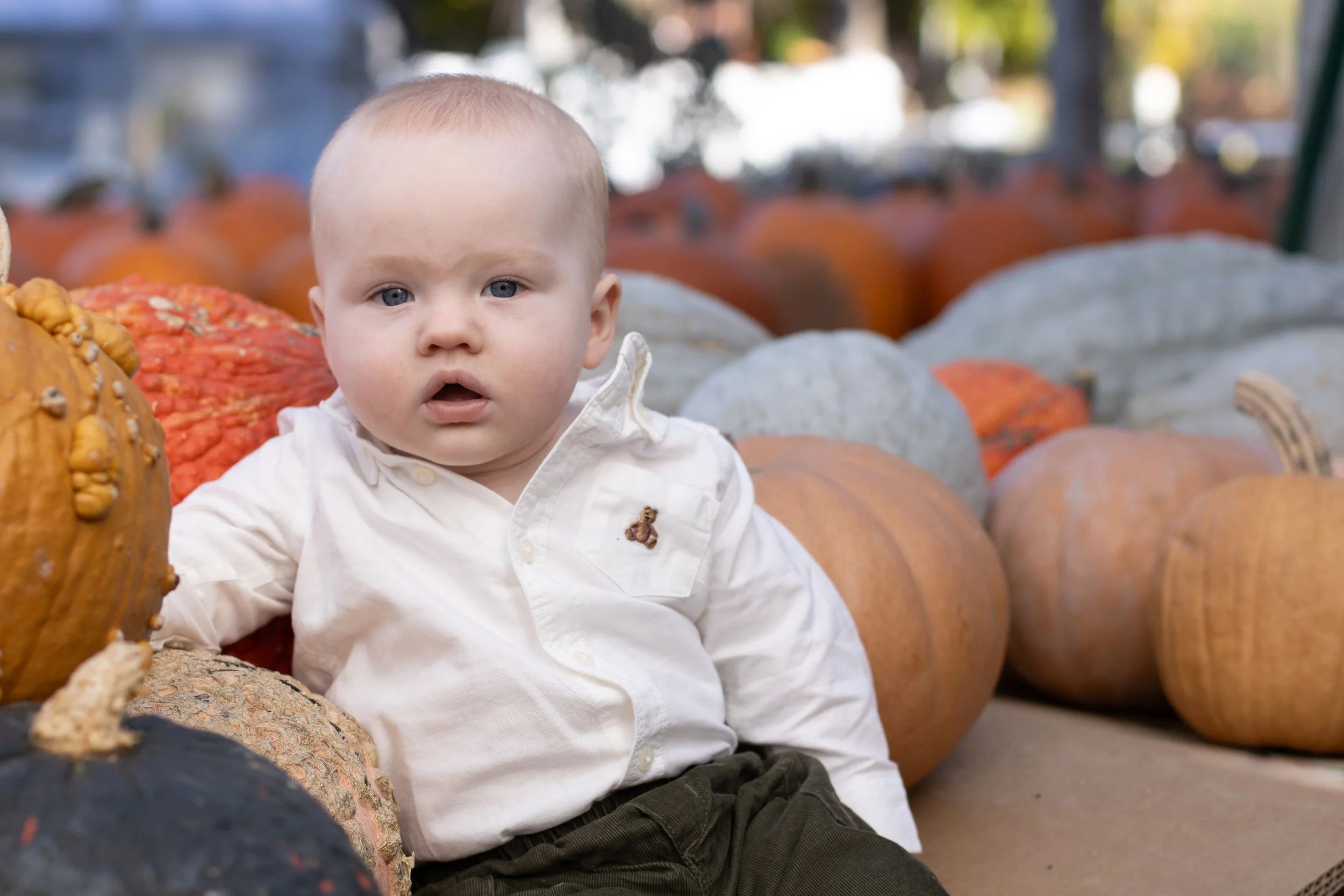 Baby sitting among pumpkins during a fall holiday mini session by Boston photographer Sasha Parfenova.