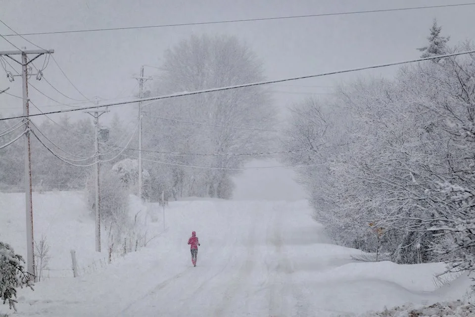 March Run in the Snow 3.jpg