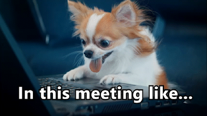 Reaction-gifs_In_this_meeting_like_AdobeExpress.gif
