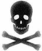 skull_and_Crossbones.jpg