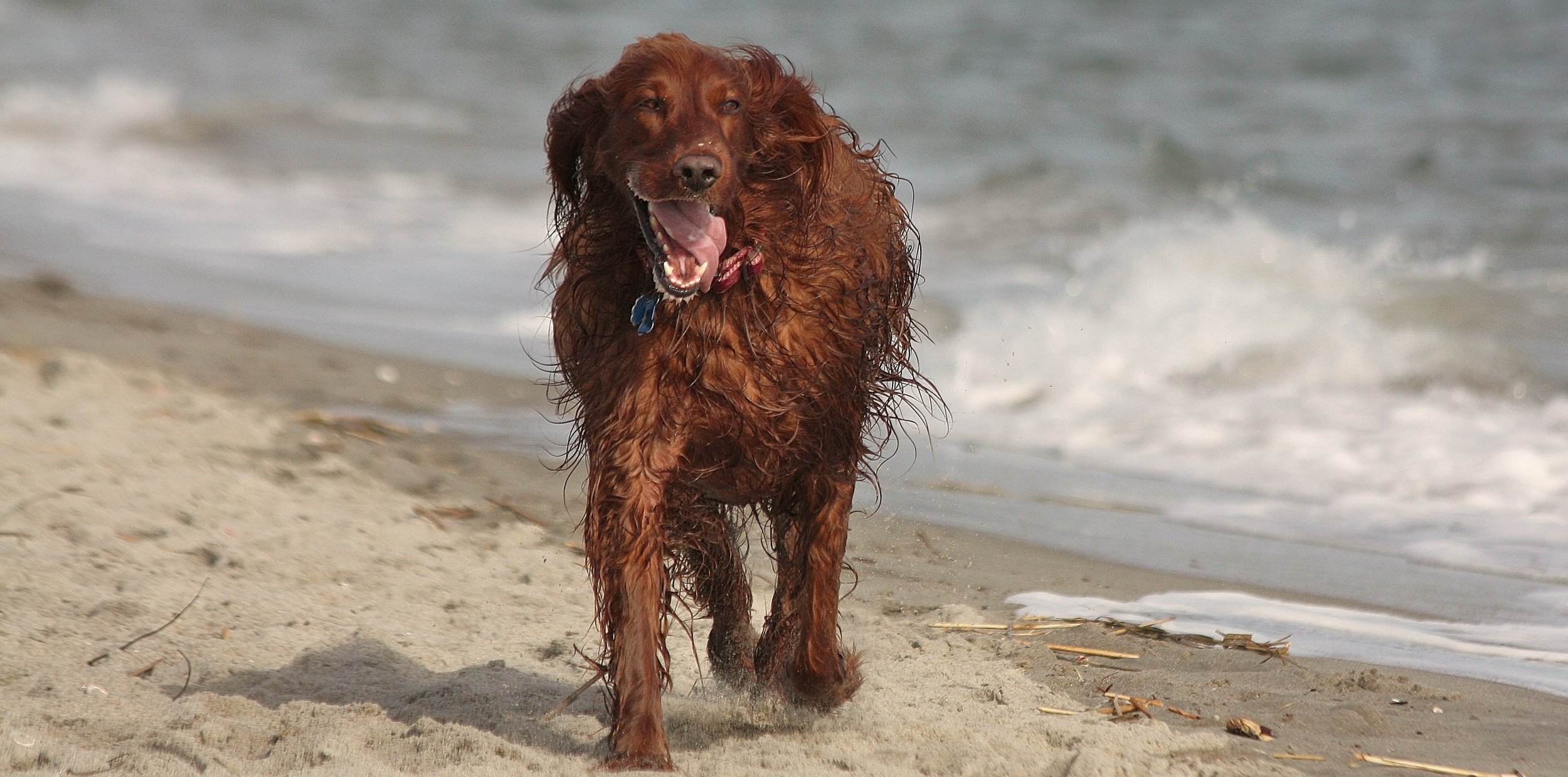 Kendall-- (Who We Are) IMG_9636 - Copy.JPG