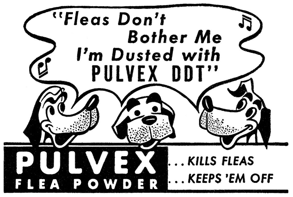 Pulvex DDT for Dogs.png