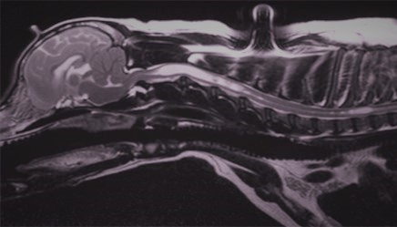 stroke2 - tint.jpg