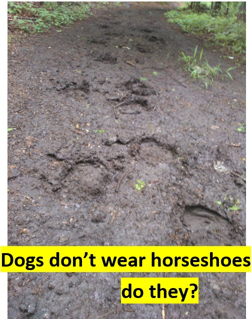 Brett - Horseshoes.PNG