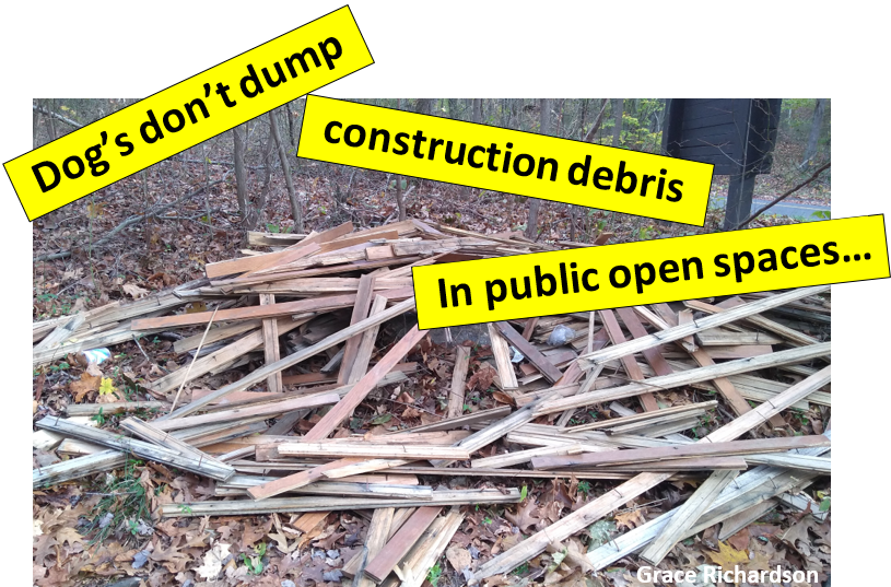 Grace - construction debris.PNG