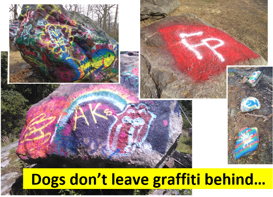 Brett - graffitti (2020)v3.PNG
