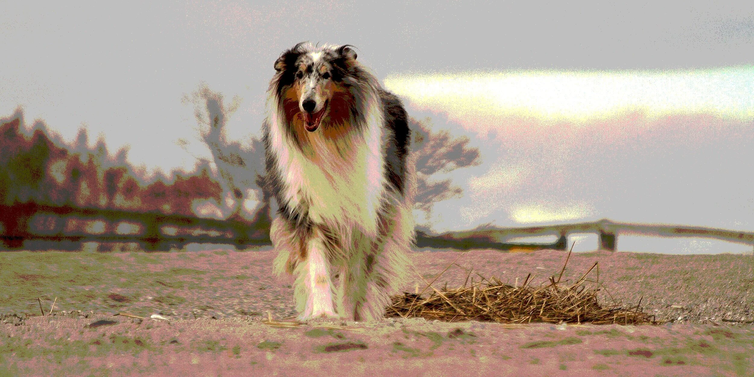 %28Lost+2%290211233255646_imageeditor__Holly_IMG_0187_2_%5B1%5D.jpg