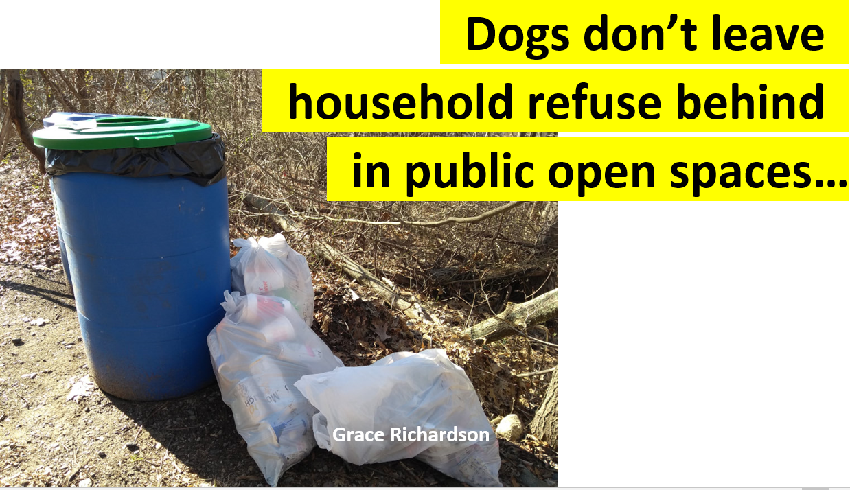 Grace - Household Garbage.PNG