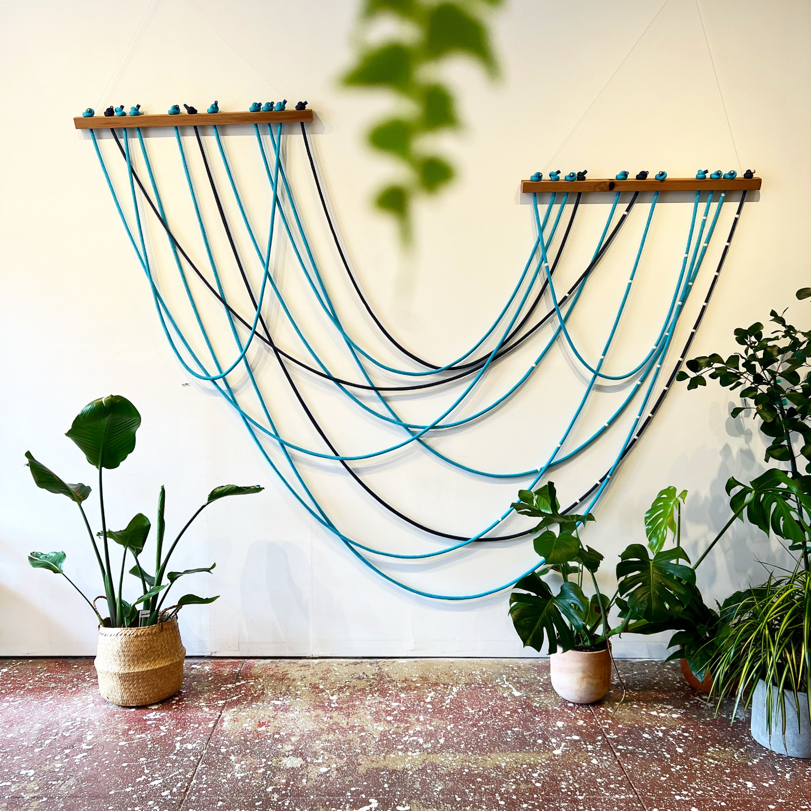 cedar and rope 2.png