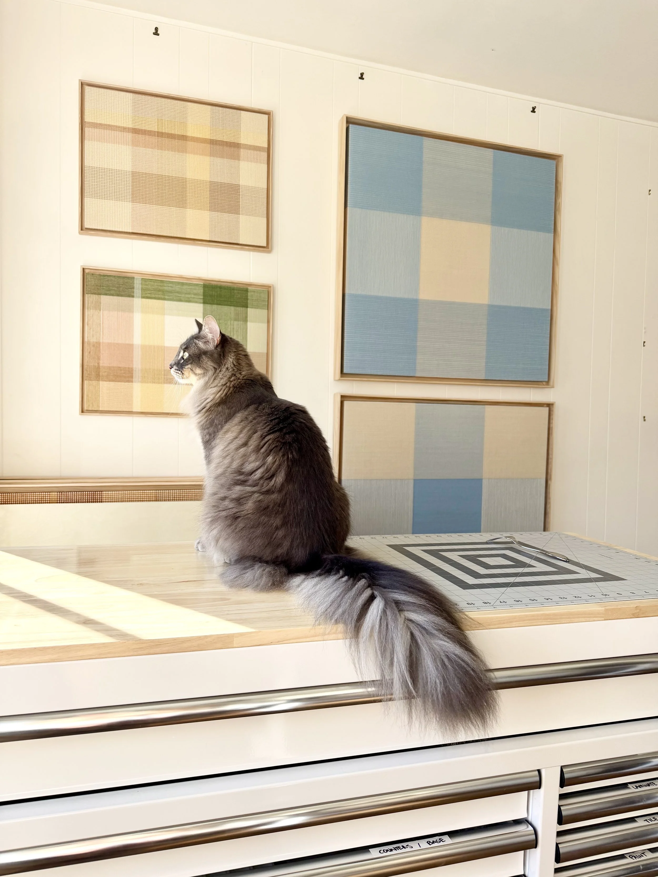 IMG_2444.jpeg (Copy)