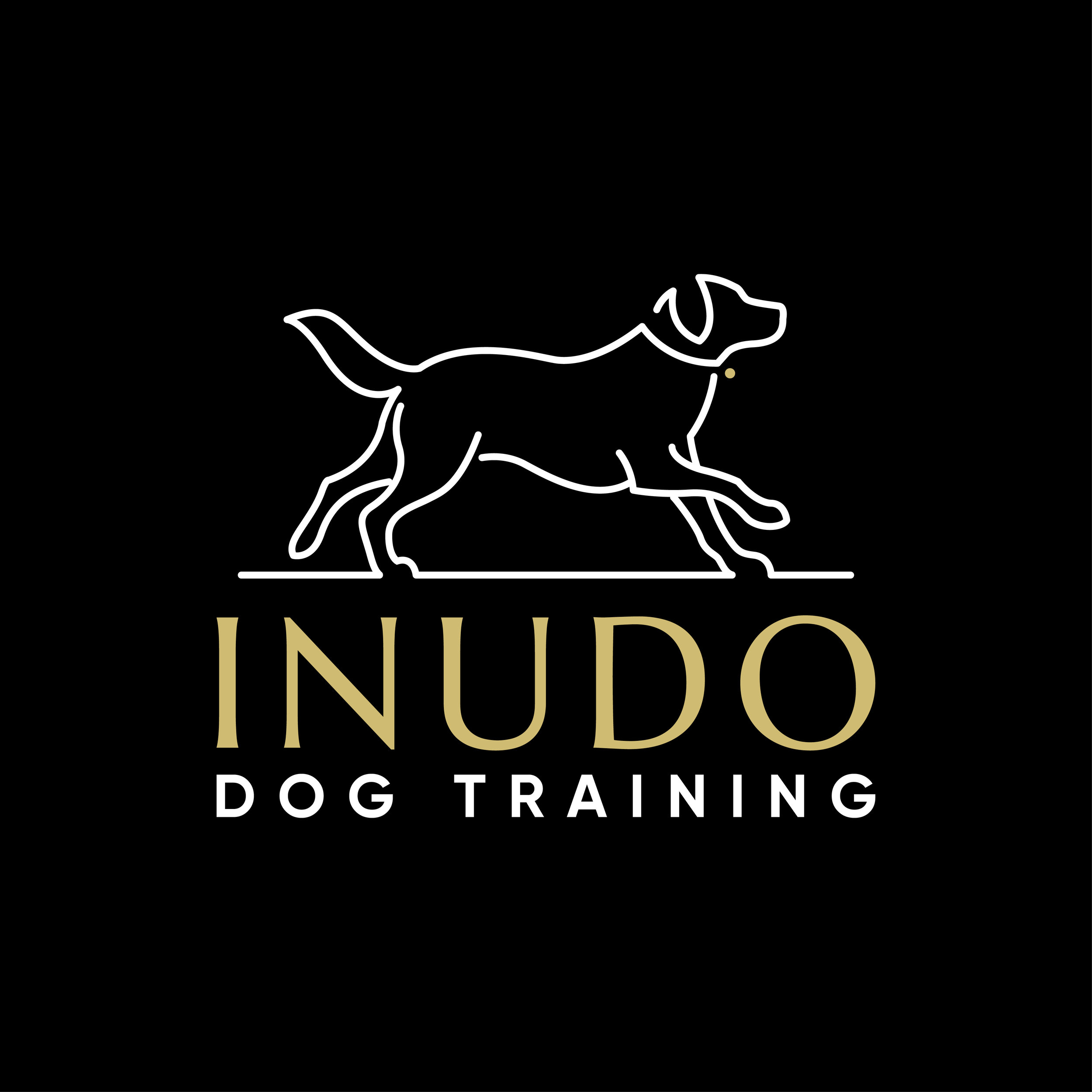 Inudo Dog Training