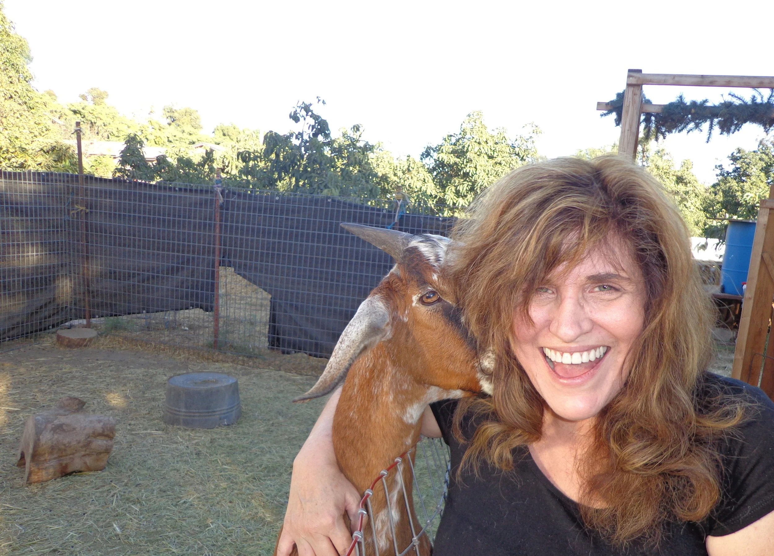 kirstengoatcloseup.JPG